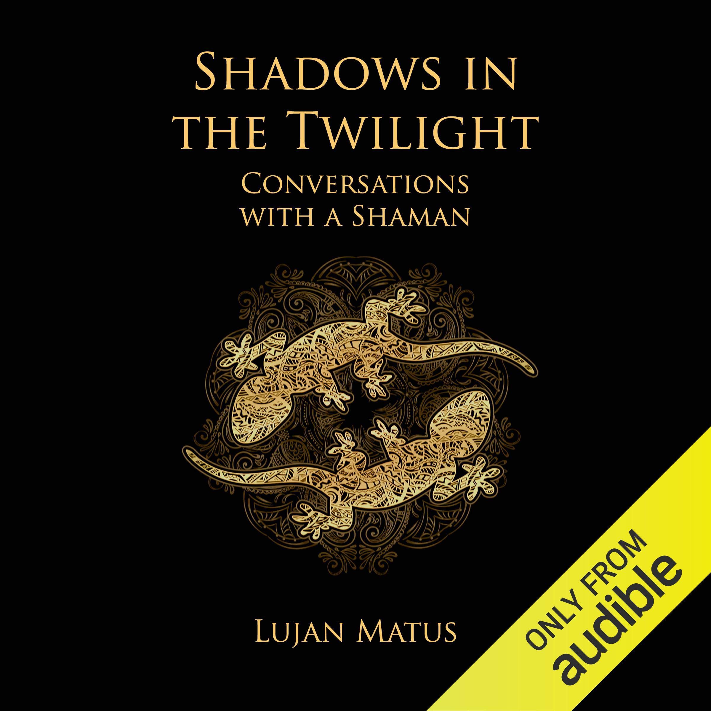 Cover art for Shadows in the Twilight
