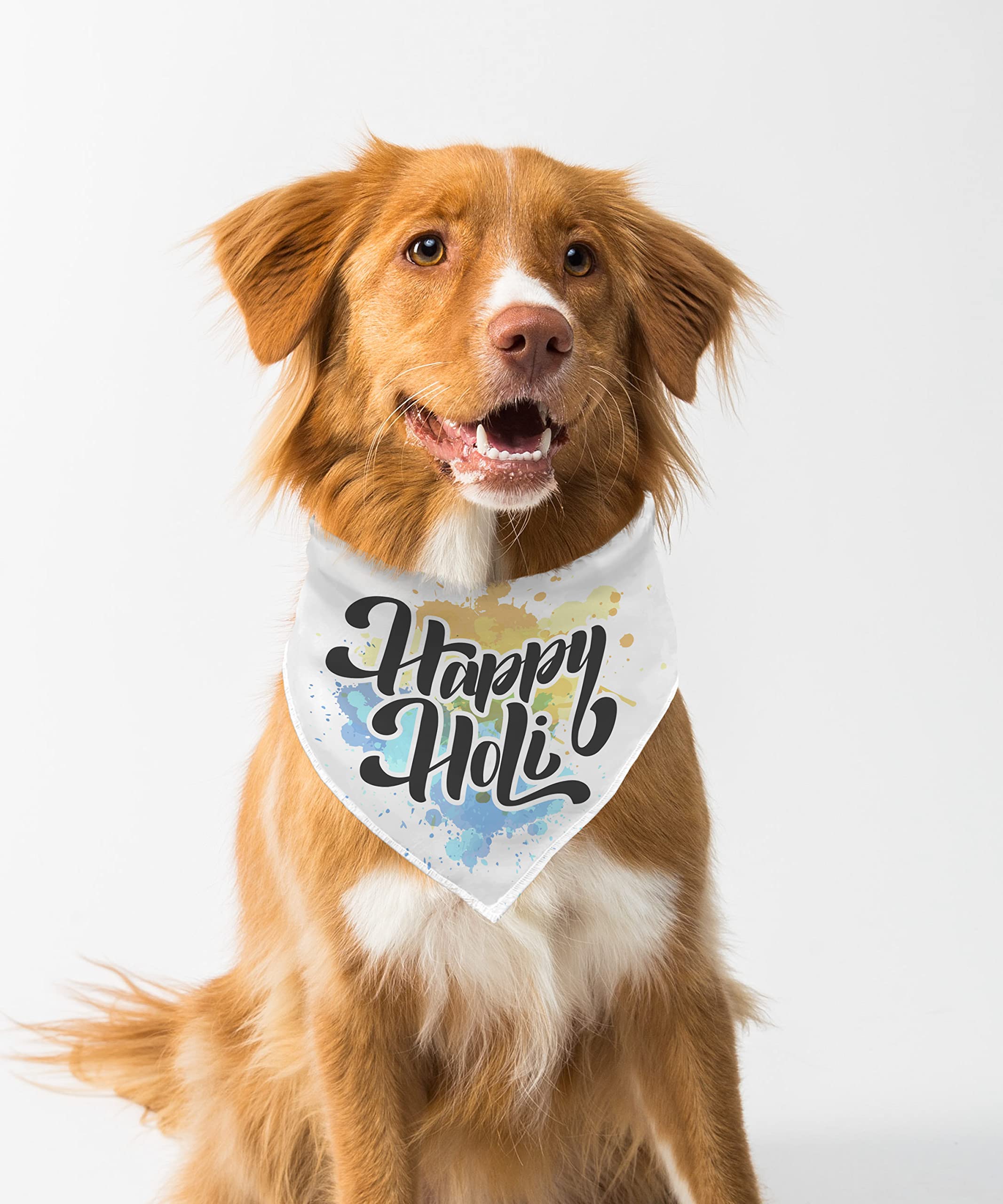 Farnup Adjustable & Comfortable Dog Bandana, Happy Holi Design 4, Graphic Printed Holi Design Bandana for Dogs | Dog Scarf, Accessory | Gifts for Dogs-M/L (B0BWWV6QX5) Amazon Price History, Amazon Price Tracker