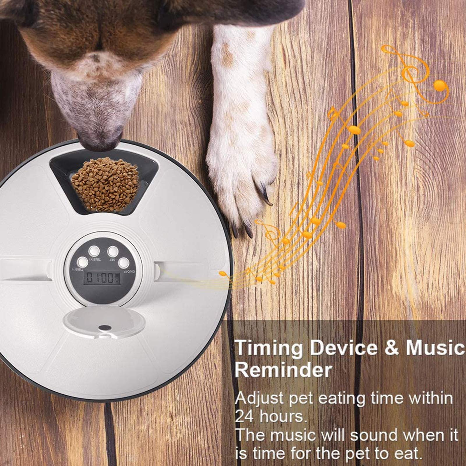 Alimentatore Automatico per Cani E Gatti, Distributore di Cibo Secco O Umido, 6 Vassoi con Controllo delle Porzioni, Timer Digitale Programmabile con Display LCD, Registratore Vocale