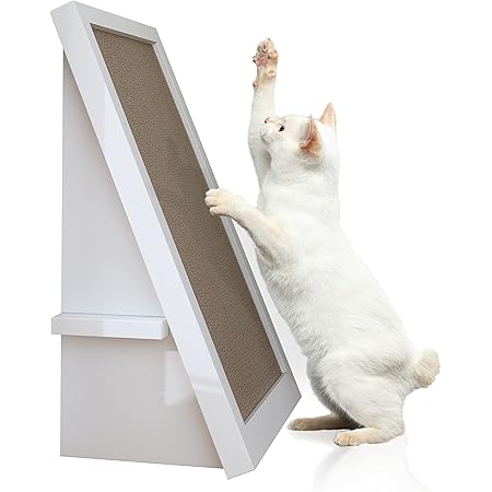 willows catnip scratch box