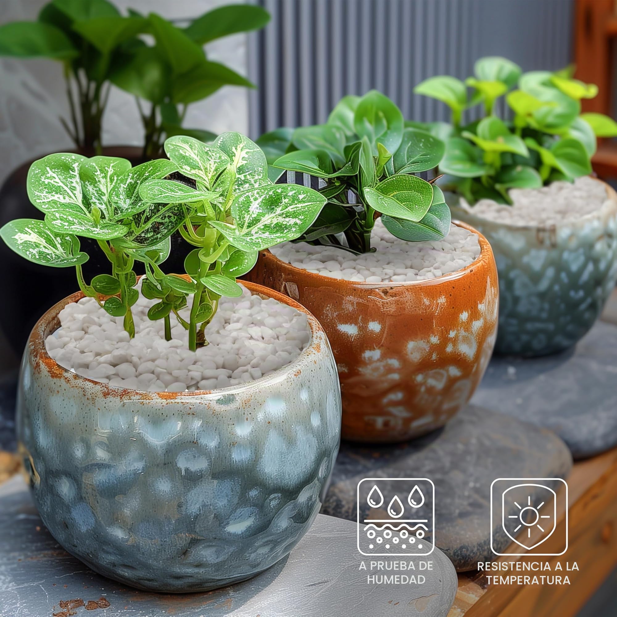 BELLE VOUS Piedras Blancas para Jardin - 3,6 kg de Piedras Decoracion Macetas Blancas - Formas Variadas 1,2 cm - Grava Jardin para Relleno de Jarrón Macetas Paisajismo Acuario Hogar