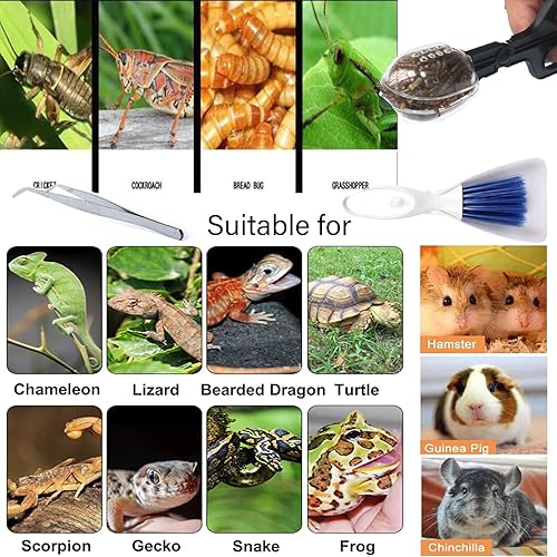 Miniatura 7 de Pequeña escoba de limpieza, herramienta de alimentación con cuchara, mini recogedor y cepillo, pinzas de acero inoxidable para reptiles y otros