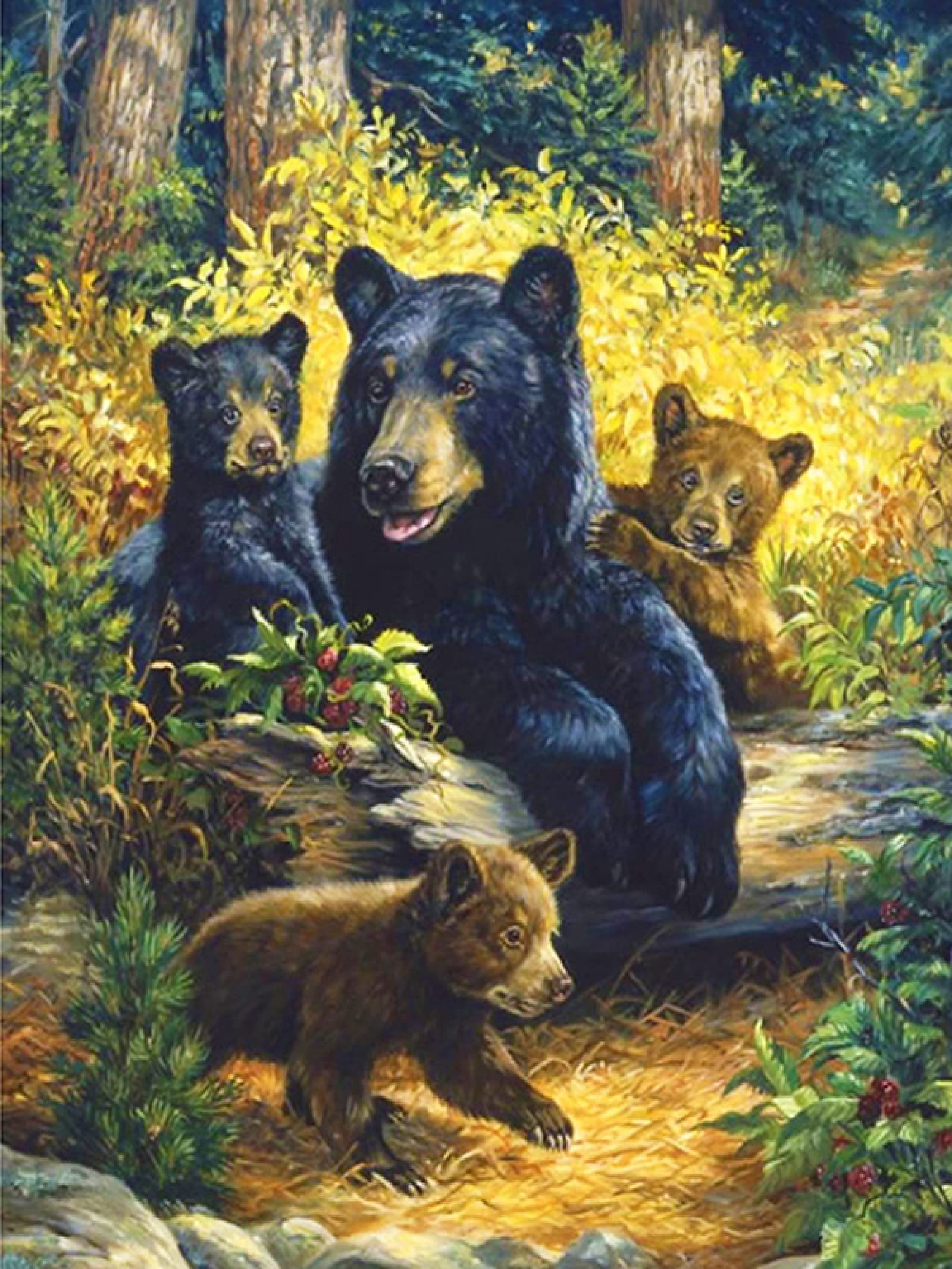 Peinture diamant animaux sauvages pour décorer le salon avec un ours 5D