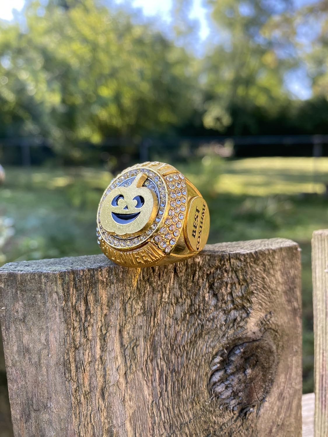 Legacy Rings Halloween Best Costume Championship Trophy Ring Contest Award Medal for Kids or Adults Costume Party Gold Finish