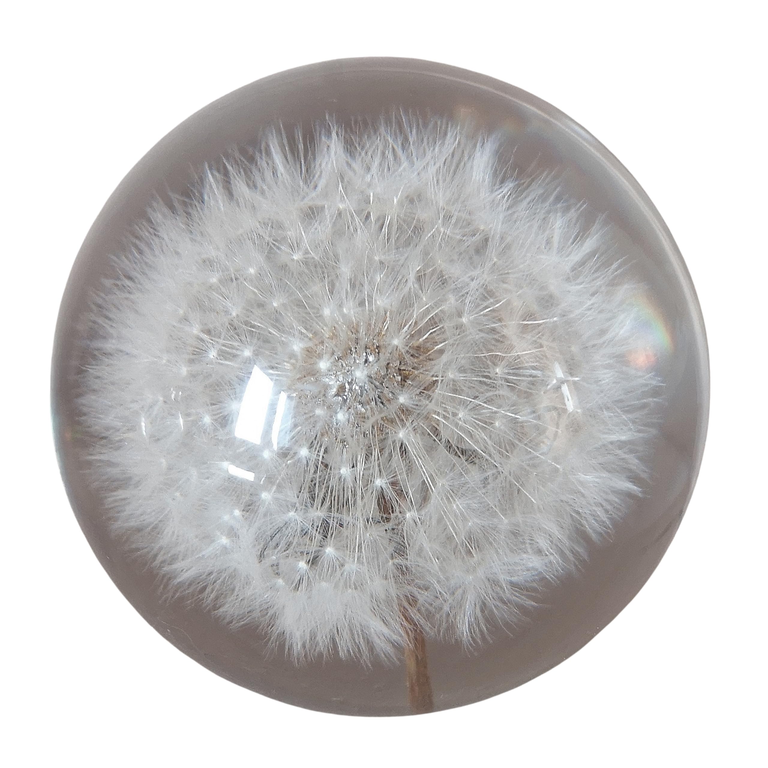 Generisch 7 cm Deko Figur Glas Pusteblume Löwenzahn Briefbeschwerer Handarbeit Glaskugel