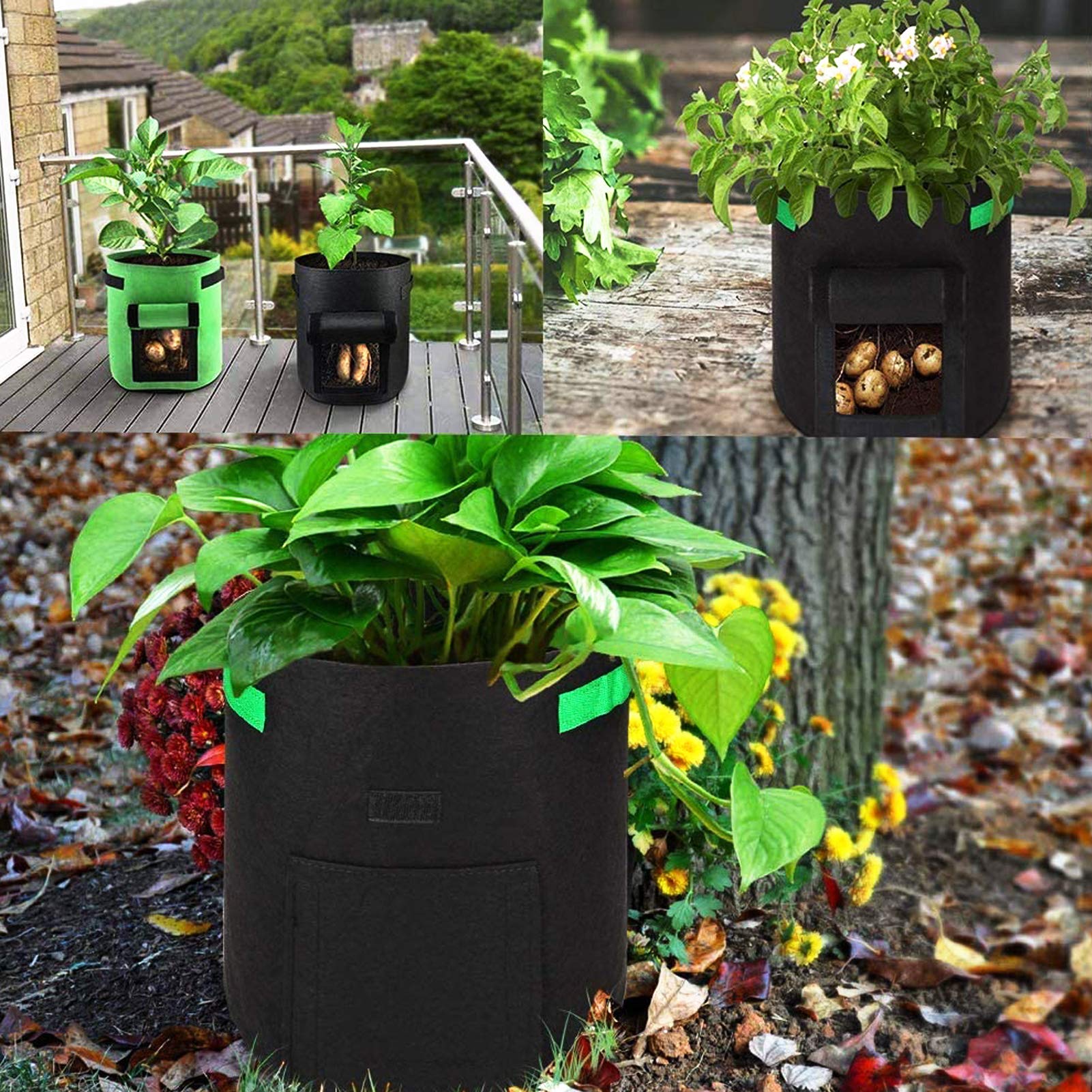 Mactoou Lot De 5 Sacs à Plantes, 12 L, Avec Poignées, Tissu En Feutre, Bacs De Croissance, Pour Pommes De Terre, Tomates Et Fraises, 3 Gallons, Noir
