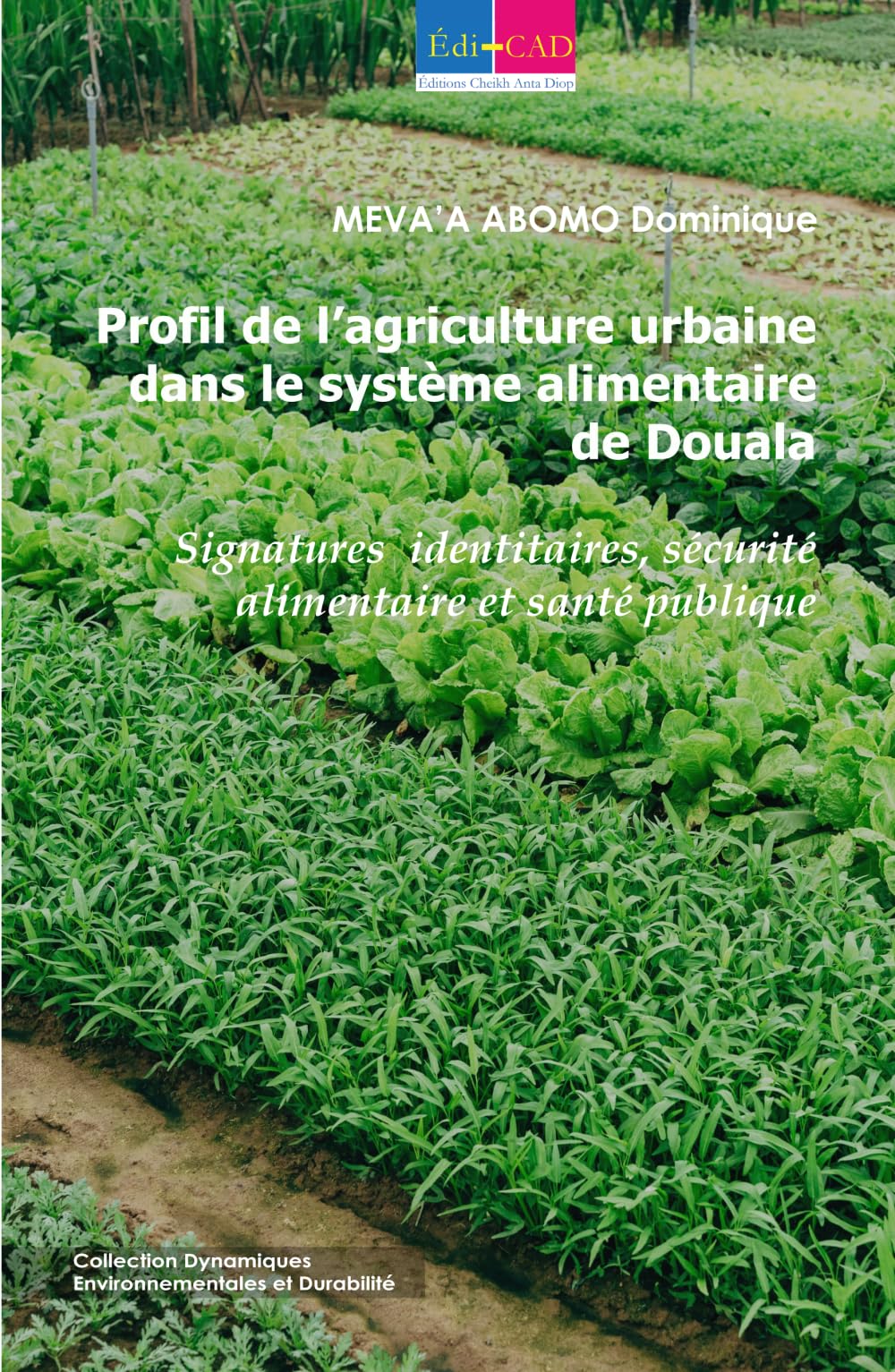 Profil de l’agriculture urbaine dans le système alimentaire de Douala: Regards croisés entre Sécurité alimentaire et Santé publique