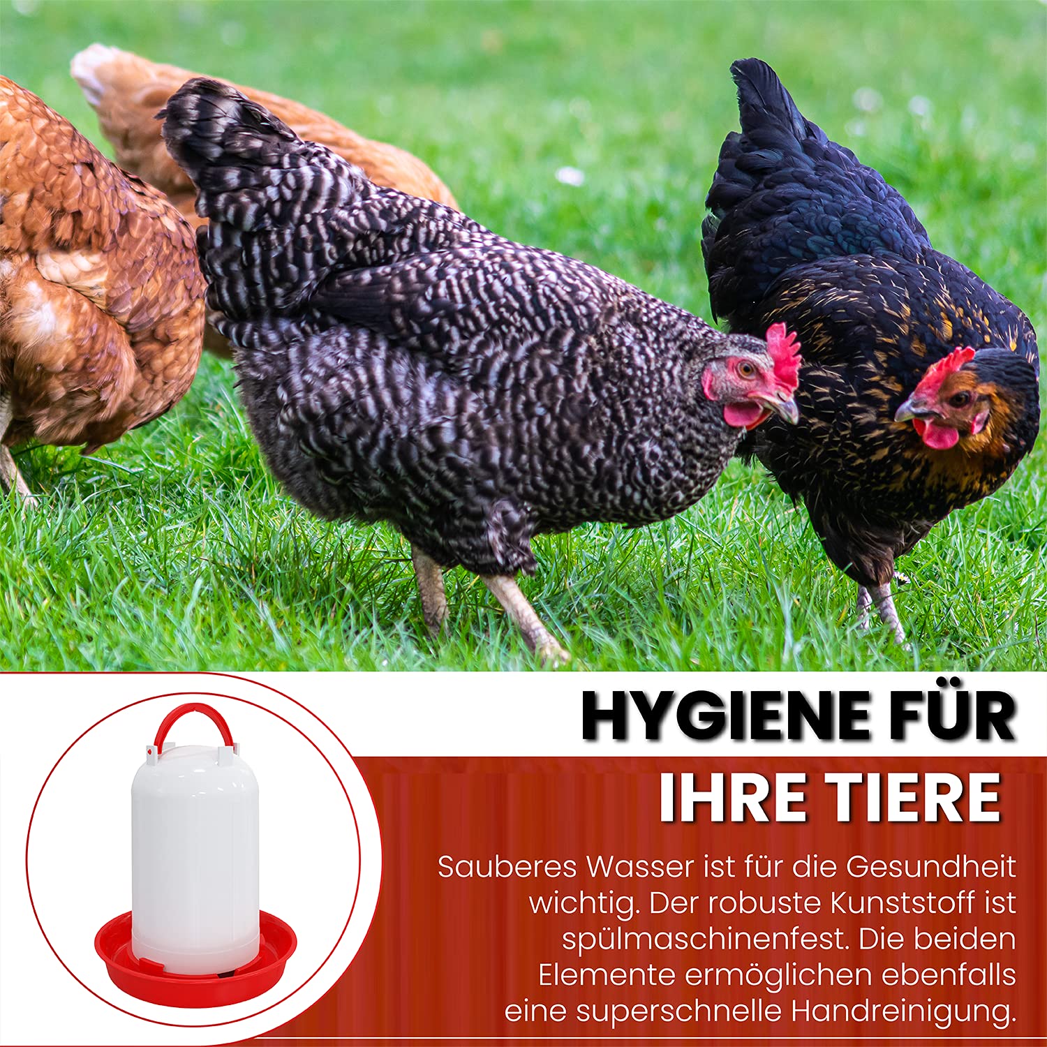 Hühnertränke 1,5, 3 oder 5 ltr. rot I Beheizbare Geflügeltränke für Hühner I Aufhängbarer Wasserspender I Automatische Wassertränke, Tränke, Hühnerzubehör I Geflügel Zubehör (Rot, 3 Liter)