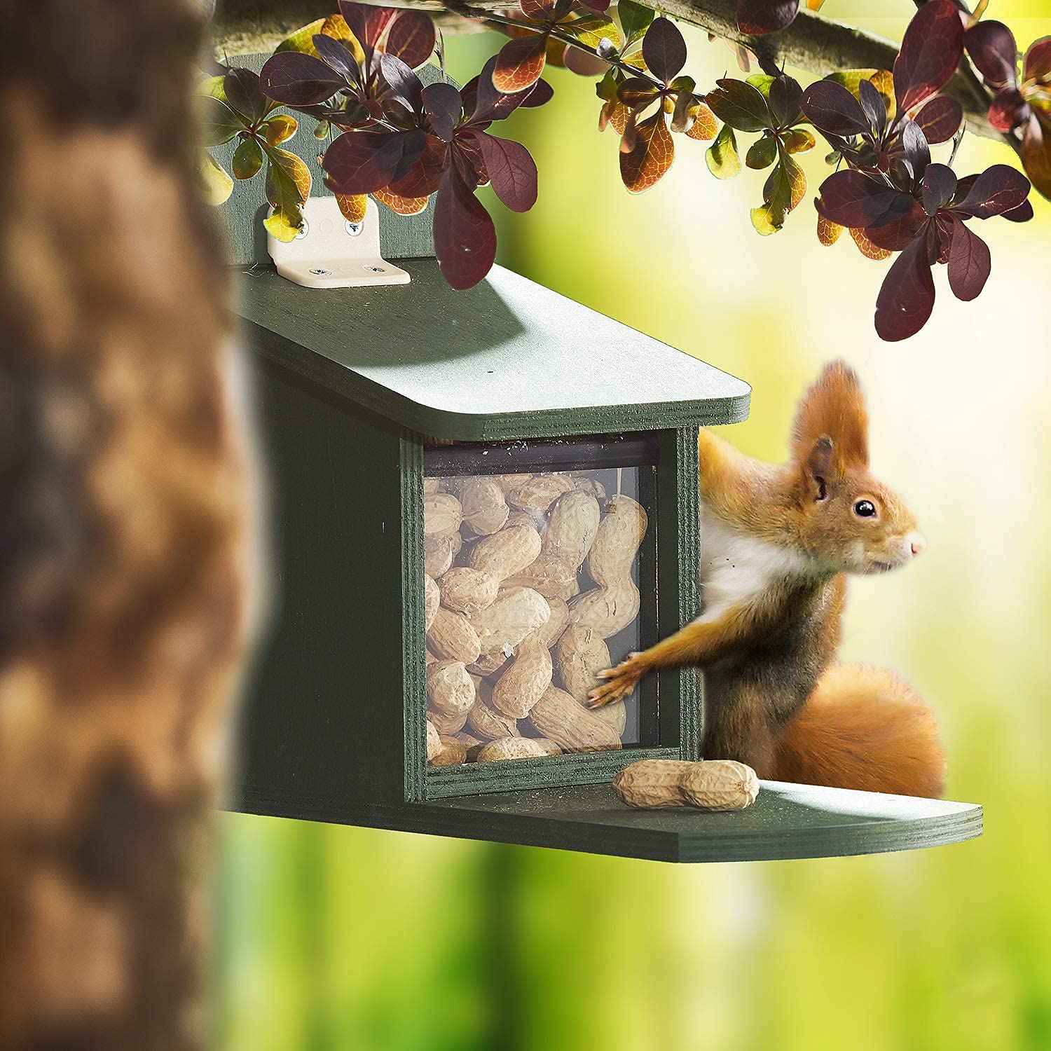 Paul´s Mühle Erdnüsse mit Schale für Futterzwecke 10 kg