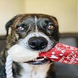 Dog Toys