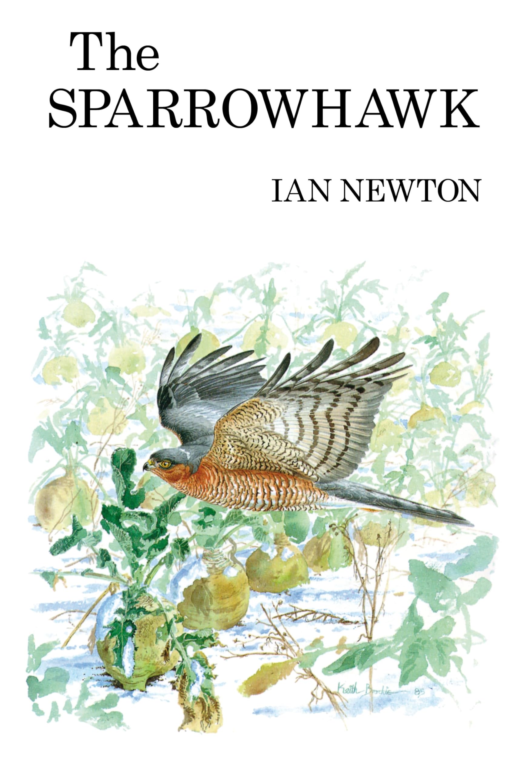 Buy The Sparrowhawk — BookShops.in