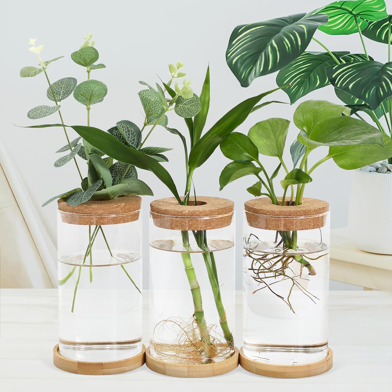 Cabilock Hydroponic Vase 5.90X3.34X3.34In Glass Propagation Station for Indoor Plants Transparent Terrarium Plant Pot with Stable Base for Desktop Office Home Garden