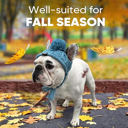 Miniatura 9 de Fabulous Fido CozyEars - Gorro de punto clásico para perro, sombrero de invierno para perro con agujeros para las orejas y sombreros ajustables para