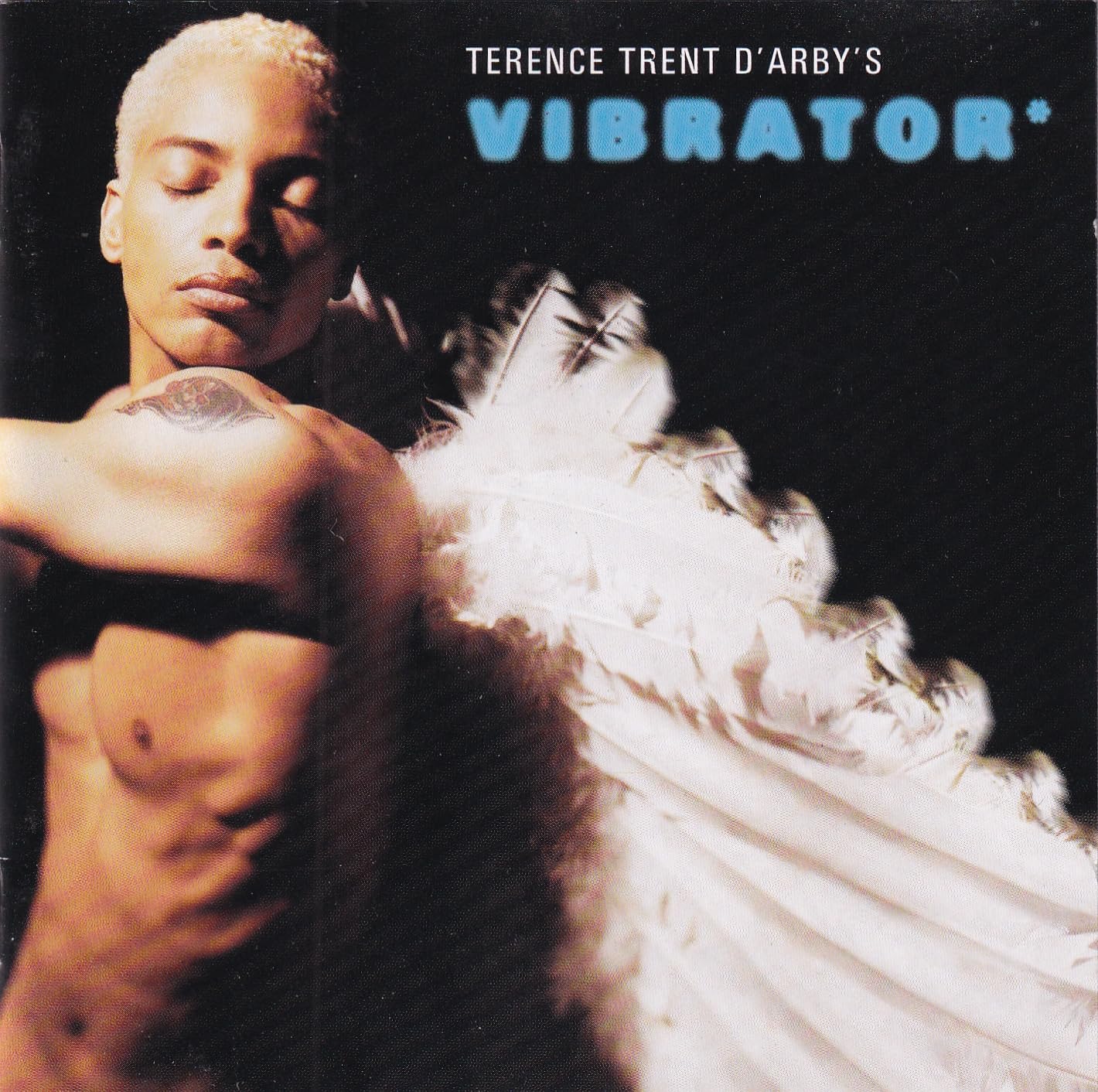 Terence Trent D'arby - TERENCE TRENT D'ARBY'S "" VIBRATOR "" CD (1995)