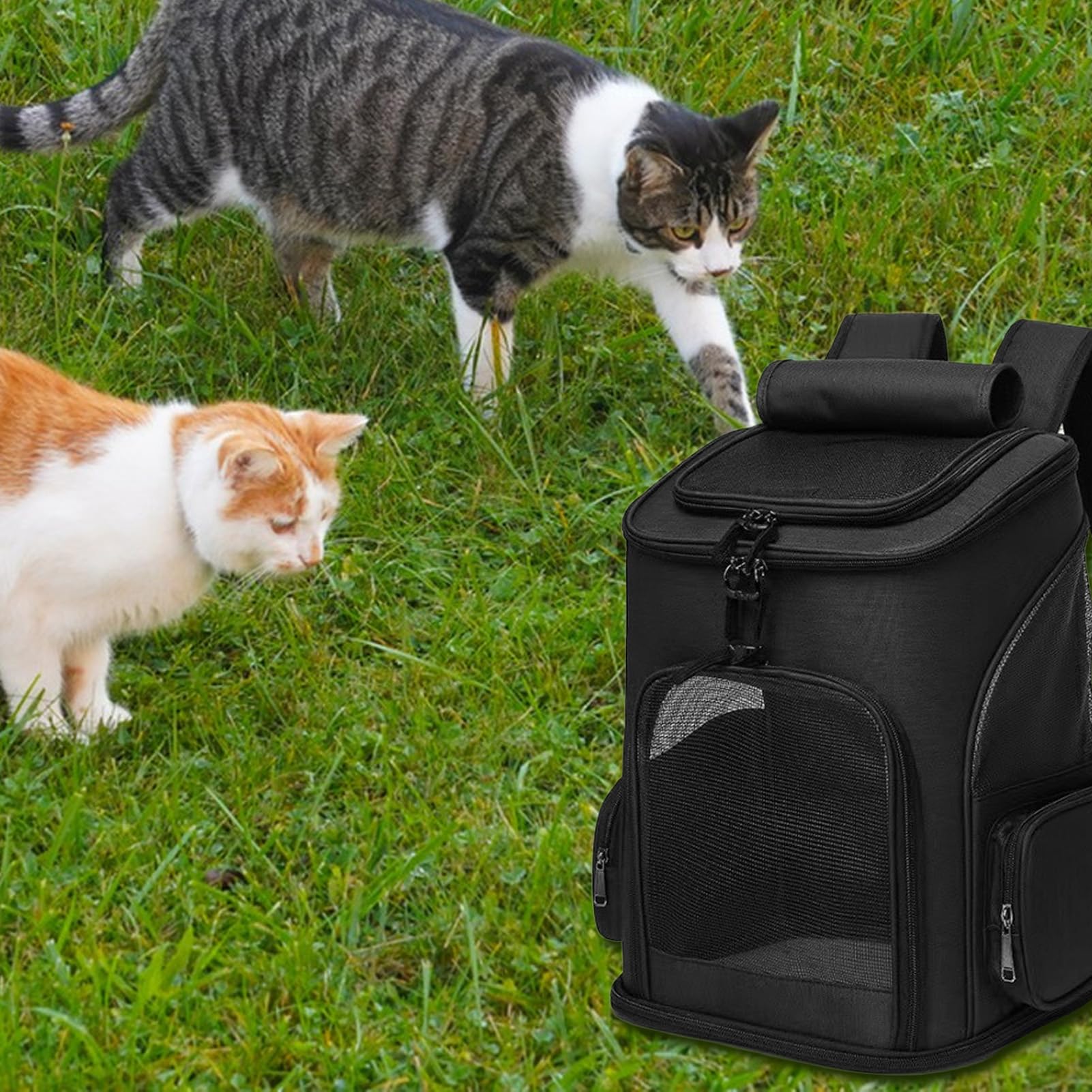 Torba Podróżna Kota Torba zwierzęca, nosidło, plecak, akcesoria | Przenośny Rozszerzalny Miękki Transporter Szczeniaka Samolot Samochód Kemping Outdoor Weterynarz Spacer Pielęgnacja