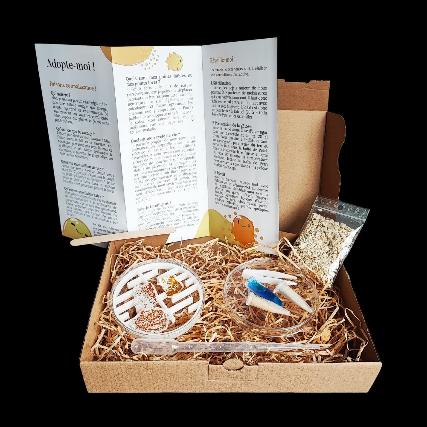 Kit D'élevage De Blob Vivant – 3 Blobs (jaune/orange) + Labyrinthe Et Colorants + Guide – Made In France Réveil Blob Garanti