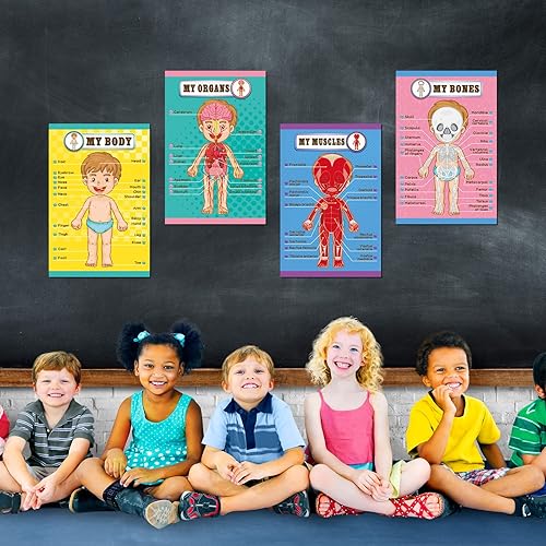 Miniatura 7 de Outus Carteles educativos de aprendizaje del cuerpo humano, parte del cuerpo, tabla de pared de 22 x 17 pulgadas para niños, tabla de anatomía de