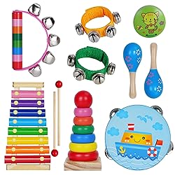 Childom Kids Musical Instruments for Toddlers,Baby Musical Toys for Toddlers,Preschool Educational Kids Gifts,Christmas Birthday Gifts for Boys Girls,Xylophone,Maracas,Wooden Instruments Toddler Toys