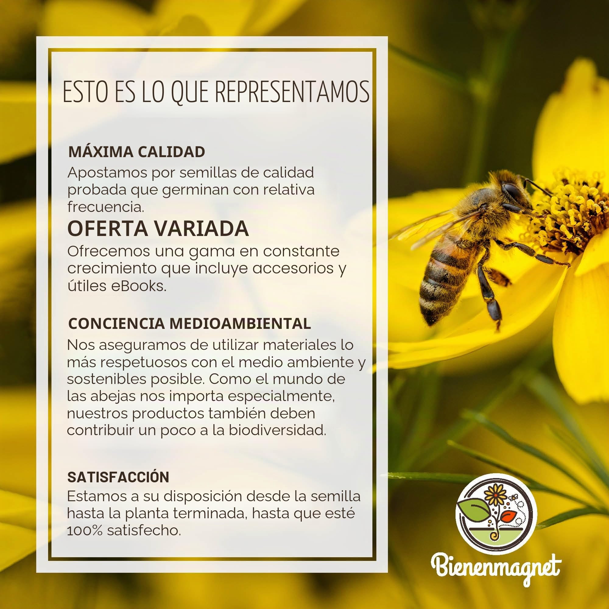 Tubos de ensayo con semillas de flores como regalo para bodas – Regalo especial de boda para invitados como regalo – Deja crecer nuestro amor, juego completo (juego de 100)