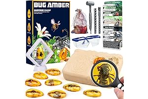 Amber Dig Kit - Insects In Resin For Kids