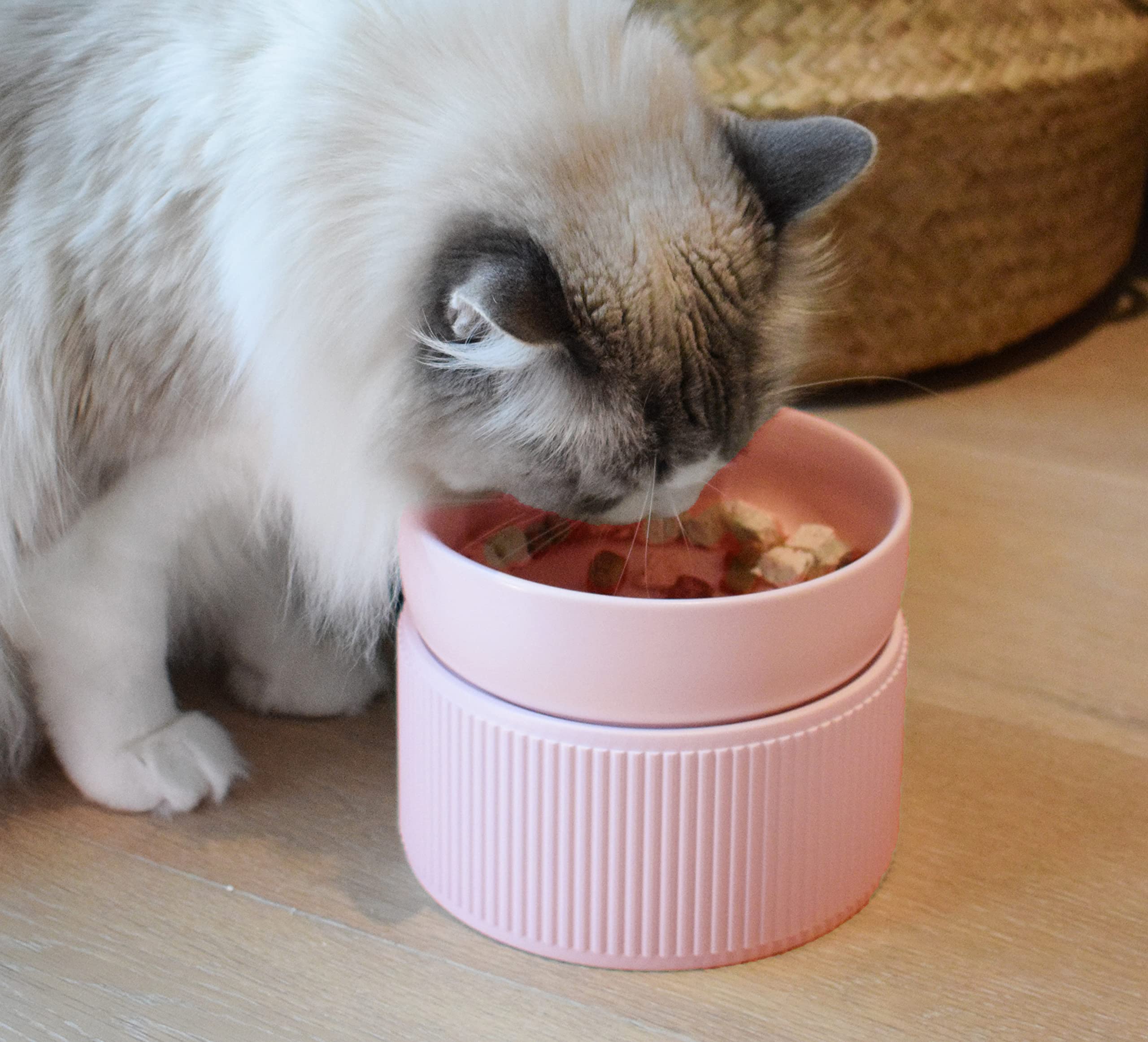 Erhöhte Katzennäpfe Aus Keramik – 15° Neigung, Schnurrhaarfreundlich, Für Futter & Wasser, Spülmaschinenfest