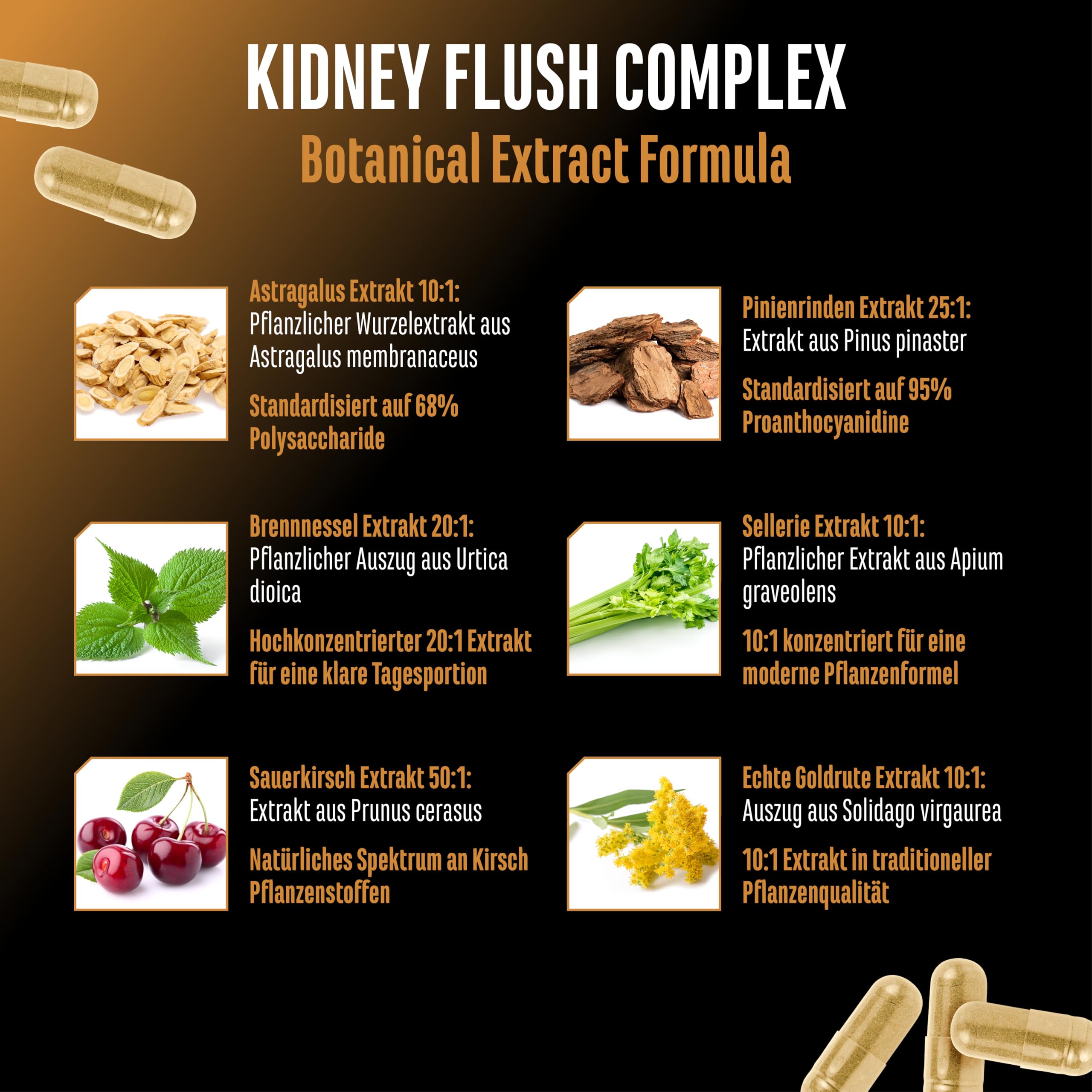 Kidney Essentials - 270 Kapseln - hochdosierter Botanical Flush Complex mit Extrakten aus Astragalus, Brennnessel, Sauerkirsche, Pinienrinde, Sellerie und Goldrute - Vegan