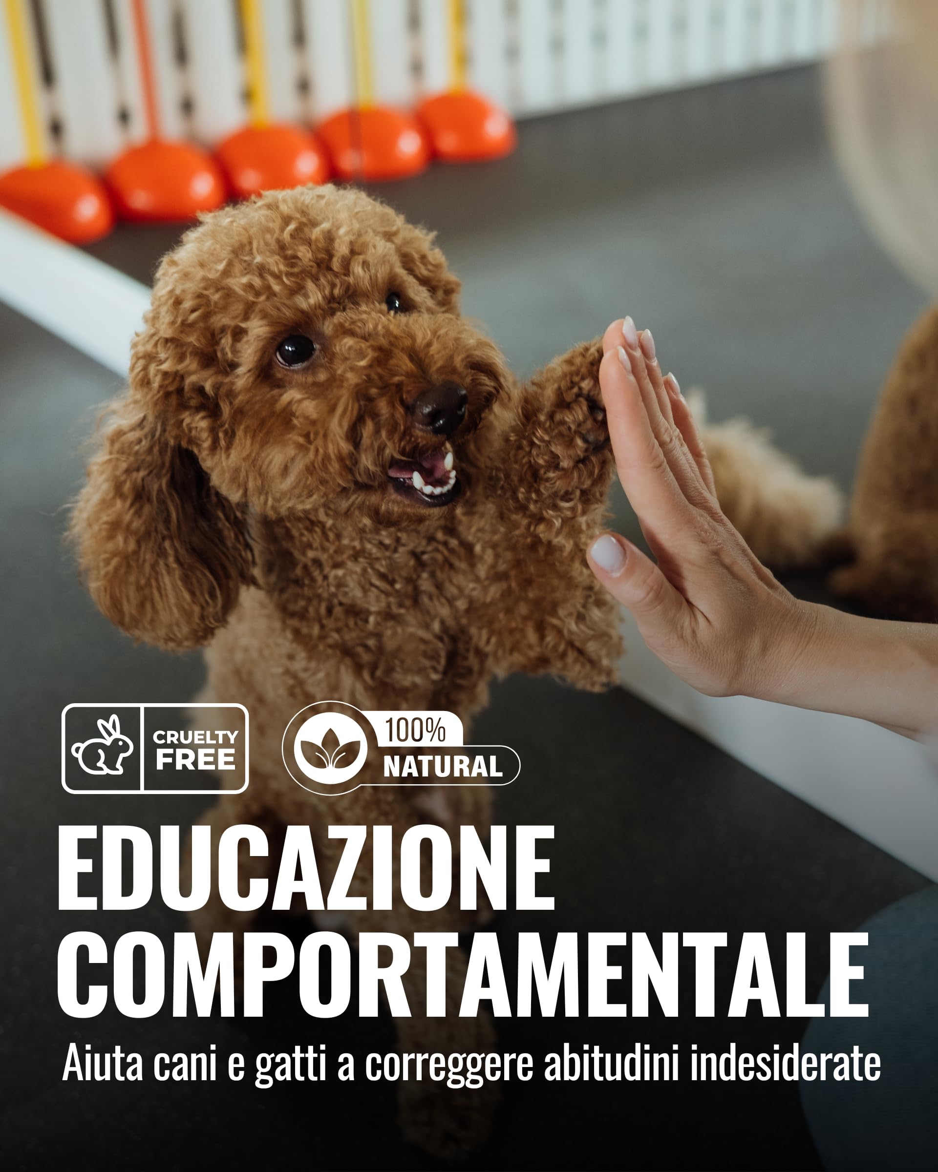 DifesAmica Spray Disabituante Naturale Cani e Gatti 500ml – Anti Pipì e Anti Morso Interno ed Esterno | Effetto Barriera con Oli Essenziali Microincapsulati | Sicuro, Non Tossico, Naturale
