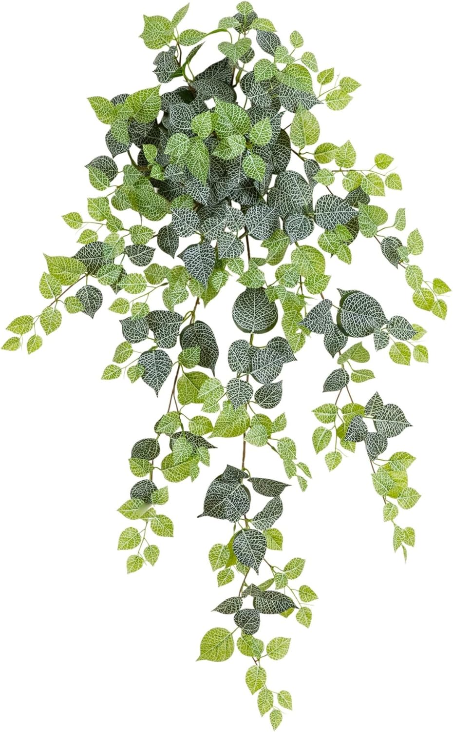 Nearly Natural 41in. UV Resistant Artificial Fittonia Hanging Plant (Indoor/Outdoor) - Set of 3