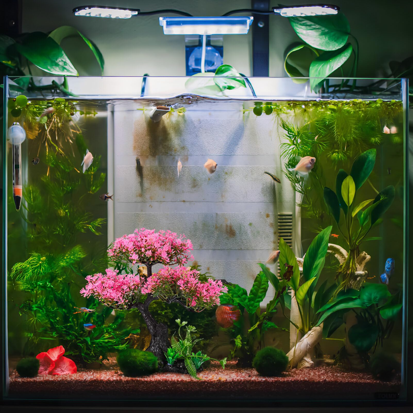 Didiseaon Set di 4 piante in plastica per acquario, fiori di ciliegio rosa artificiale