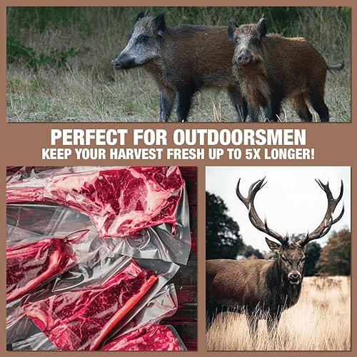 Miniatura 5 de Sellador al vacío de cámara, CM260, perfecto para cocinas domésticas y comerciales, nuevo panel de control digital