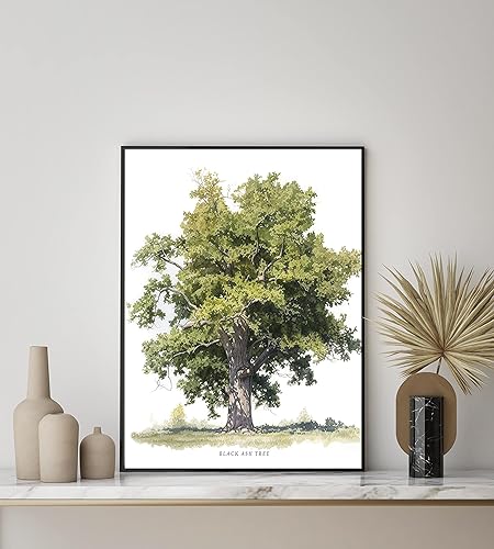 Miniatura 5 de Póster de fresno negro para decoración de pared, impresión de decoración nórdica de casa de campo familiar, bosque de árbol verde, naturaleza,