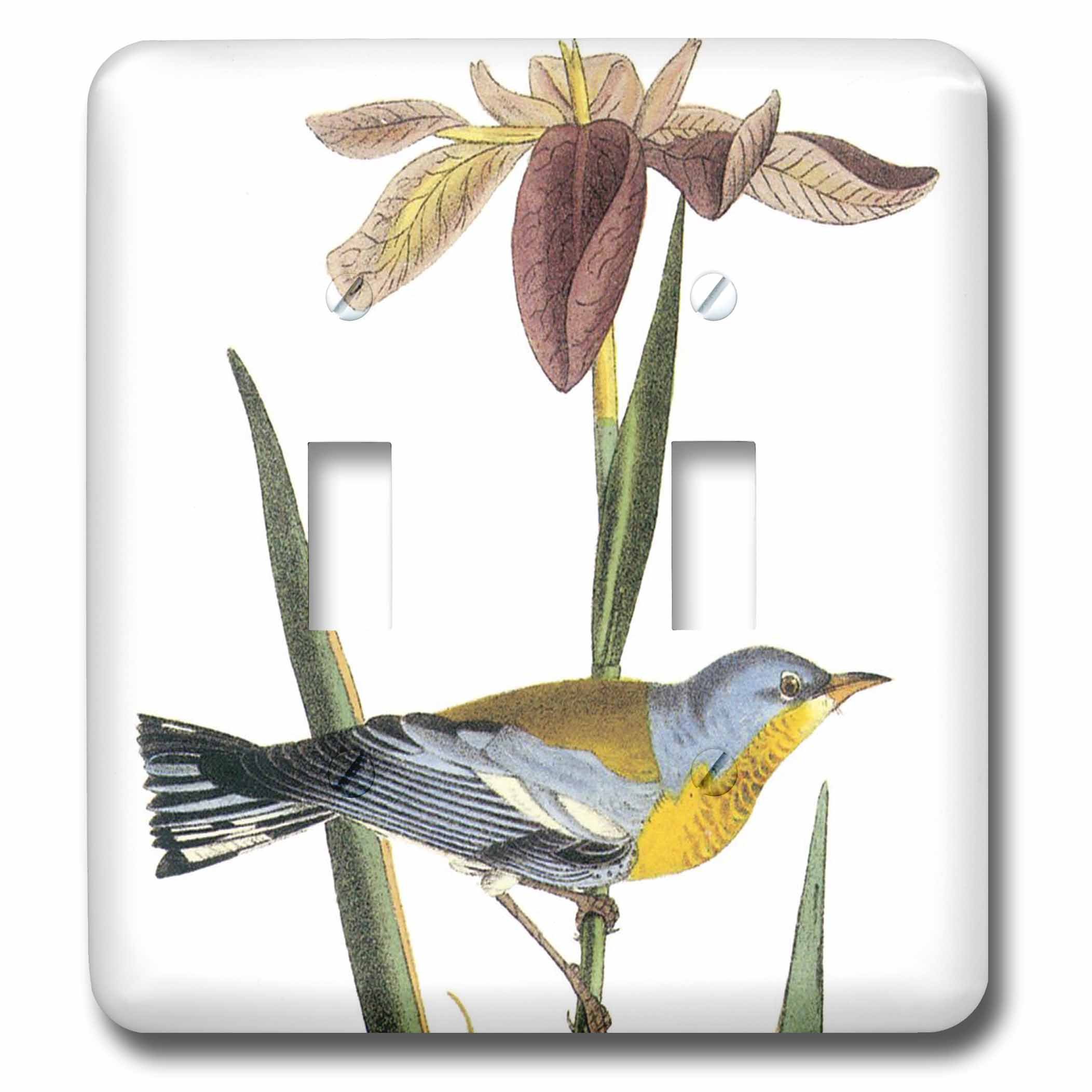 Placa de interruptor doble de pájaros 3dRose lsp_151971_2 embellecedor gris amarillo