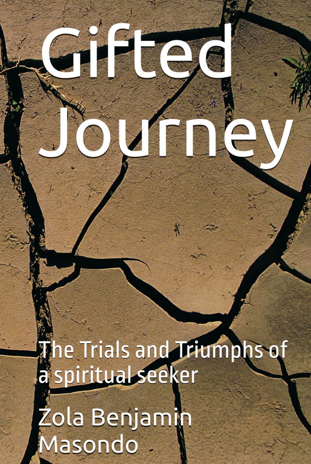 Gifted Journey: The Trials and Triumphs of a spiritual seeker