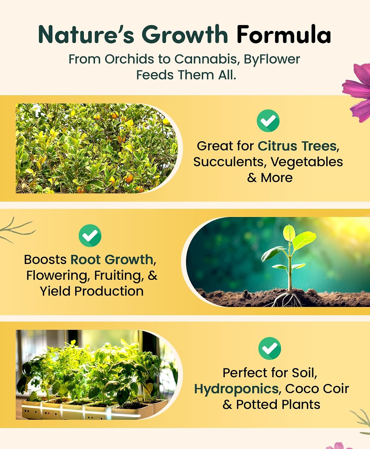ByFlower Water-Soluble House Plant Fertilizer 1 lb – Organically Enhances Soil Quality for Thriving Plants - Vegan, Garden Fertilizer Supports Healthy Growth
