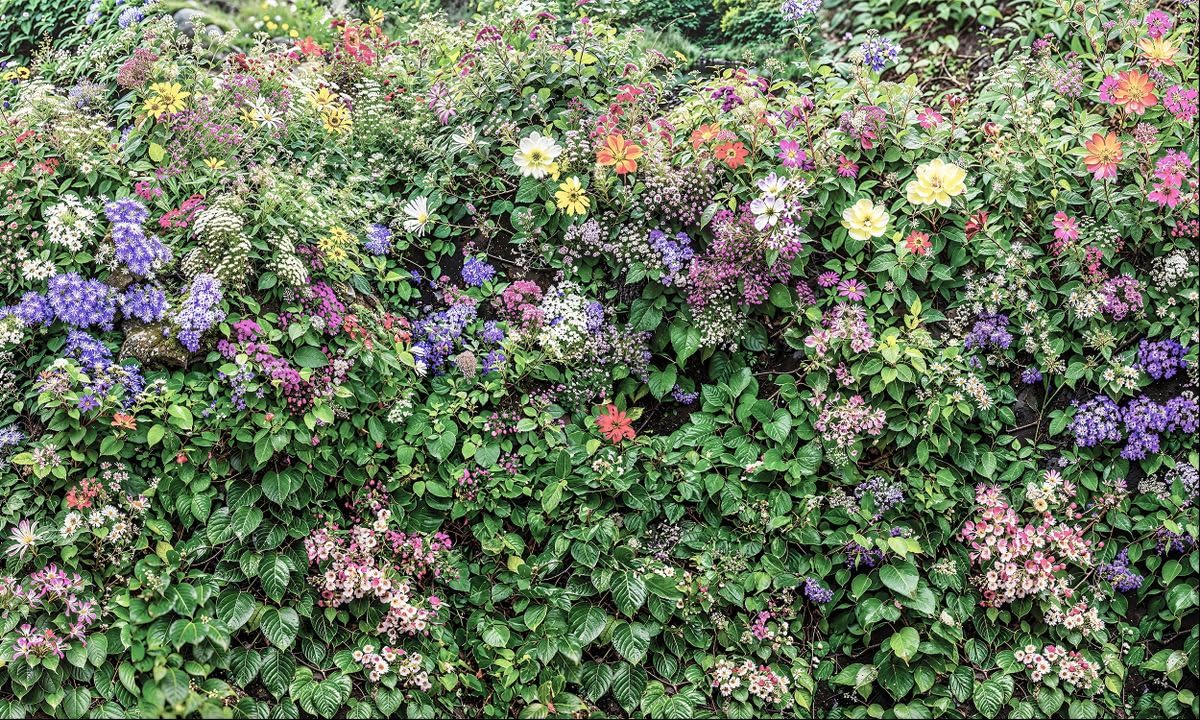 Sabrikas Let Your Creative Spirit Run Free Green Summer Flower Medley Garden Mural, Tapestry & Curtain Waterproof Outdoor Wall Hanging, Colourful Floral Wall Art & Garden Fence Decor W118.11 Inches X H70.87 Inches