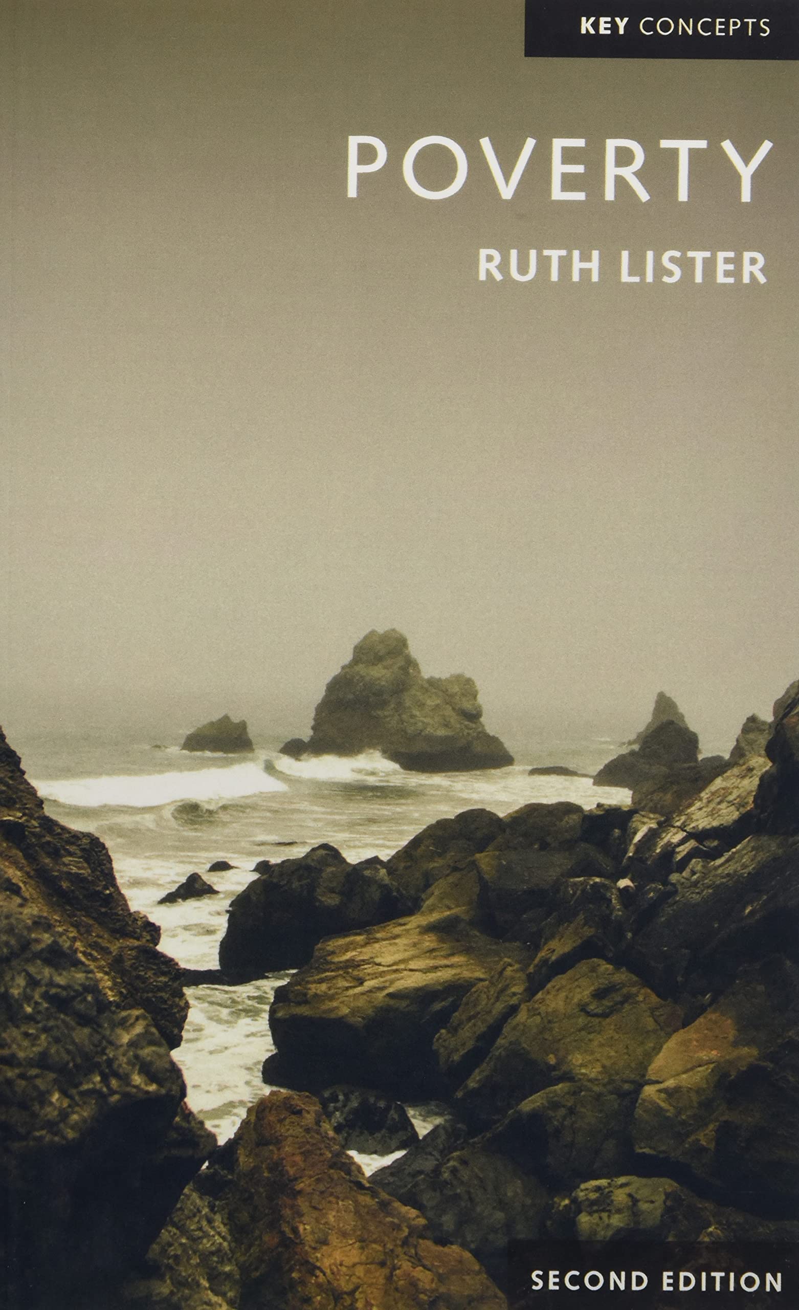 Poverty (Key Concepts).by Lister  New 9780745645971 Fast Free Shipping**