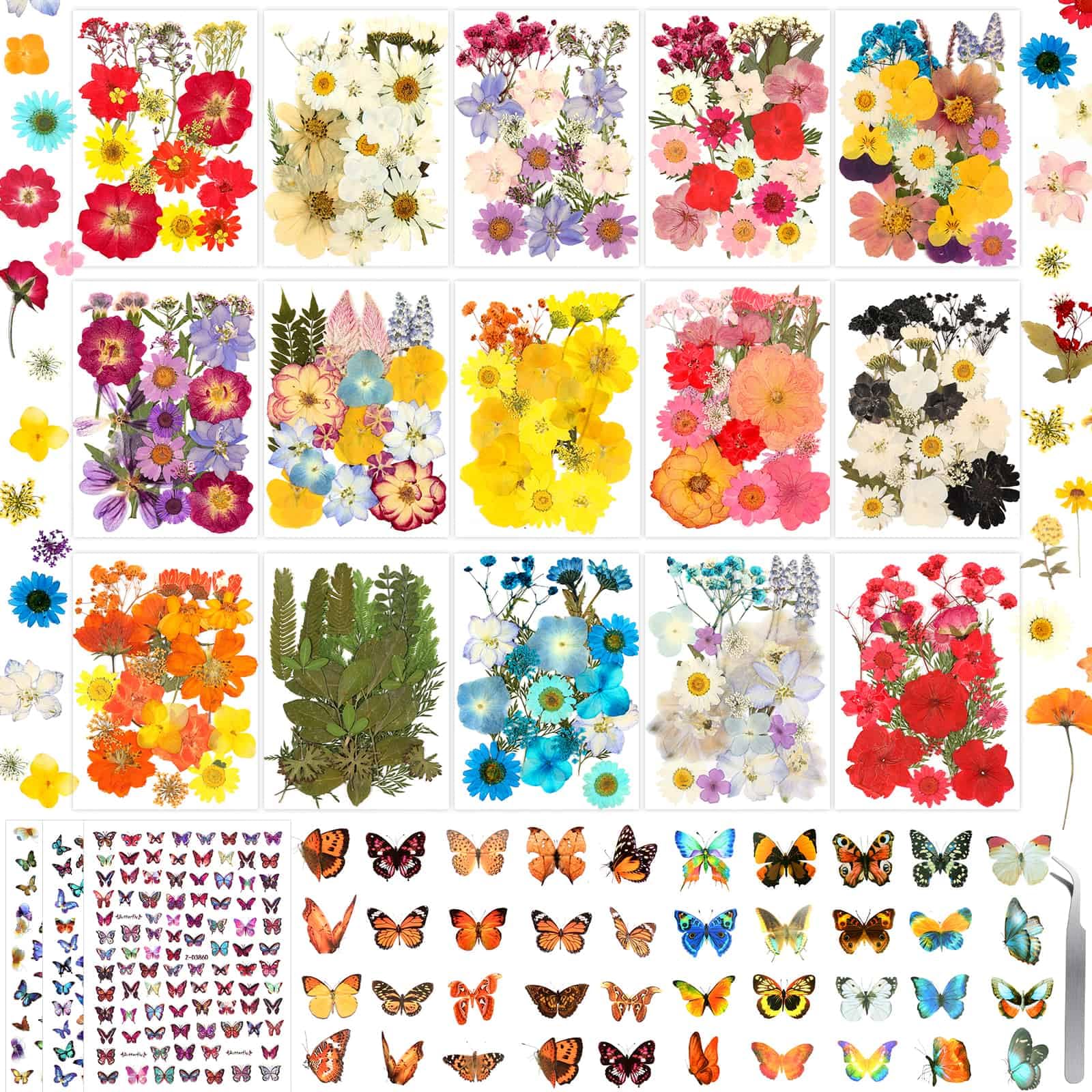 Evatage Dried Pressed Flowers