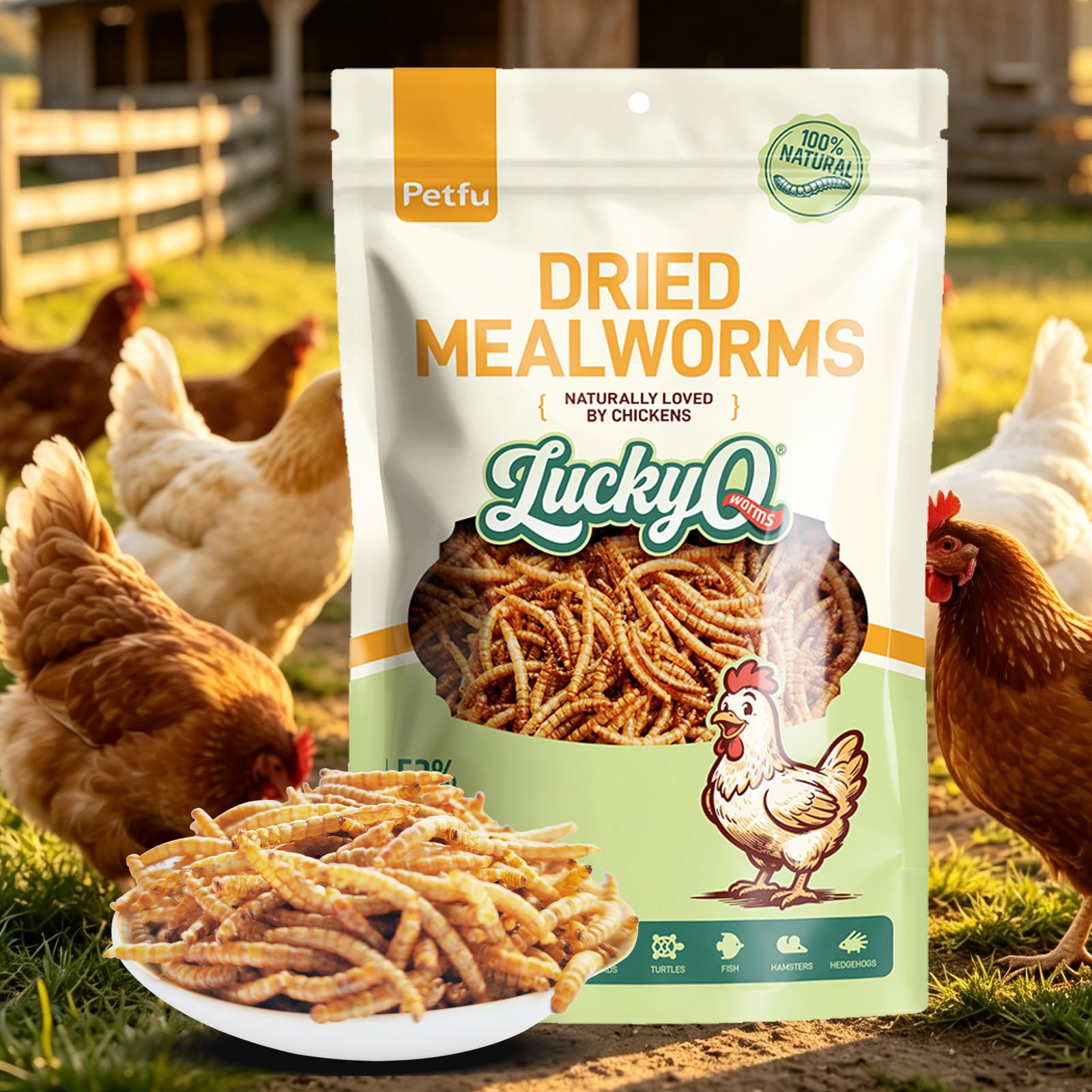 1lbs Dried Mealworms for Chickens Duck High Protein Birds Treat