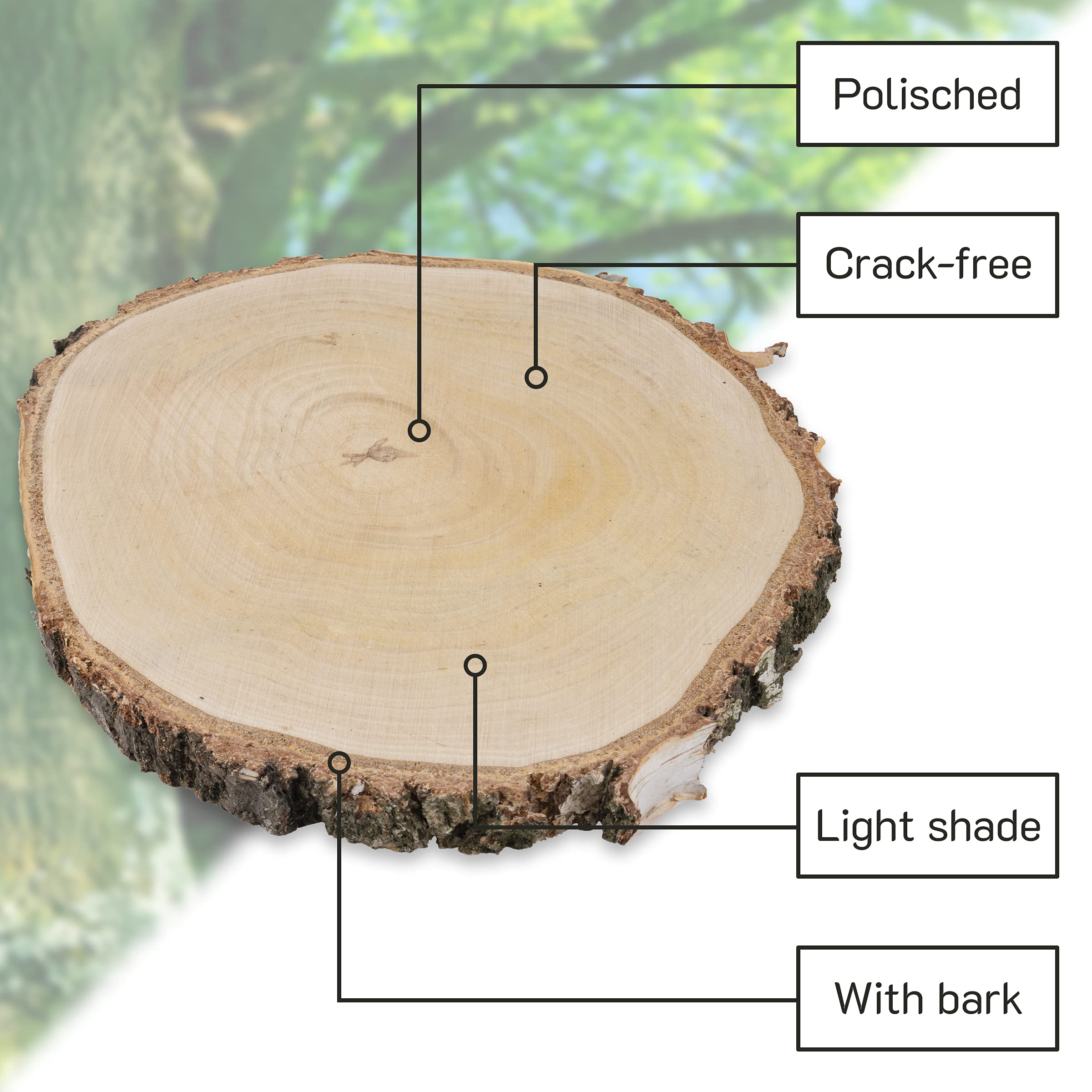 La Manuli Holzscheiben Rund, 25 Stück Groß, Durchmesser 25-28cm, 2.5 cm Dicke, Baumscheiben für DIY Handwerk, Tischdekoration, Gemälde, polierte Baumscheiben mit Rinde | Holzdeko zum basteln (25)
