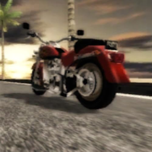 BikerRun