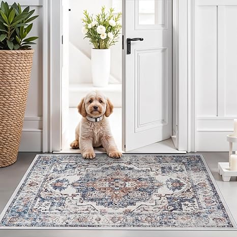 Hallway Washable Runner Rug - 2x3 Kitchen Rugs Entryway Rug Runner Vintage Soft Floor Mat Non Slip Indoor Farmhouse Carpet for Bathroom Living Room Bedroom (2 X 3, Brick)
