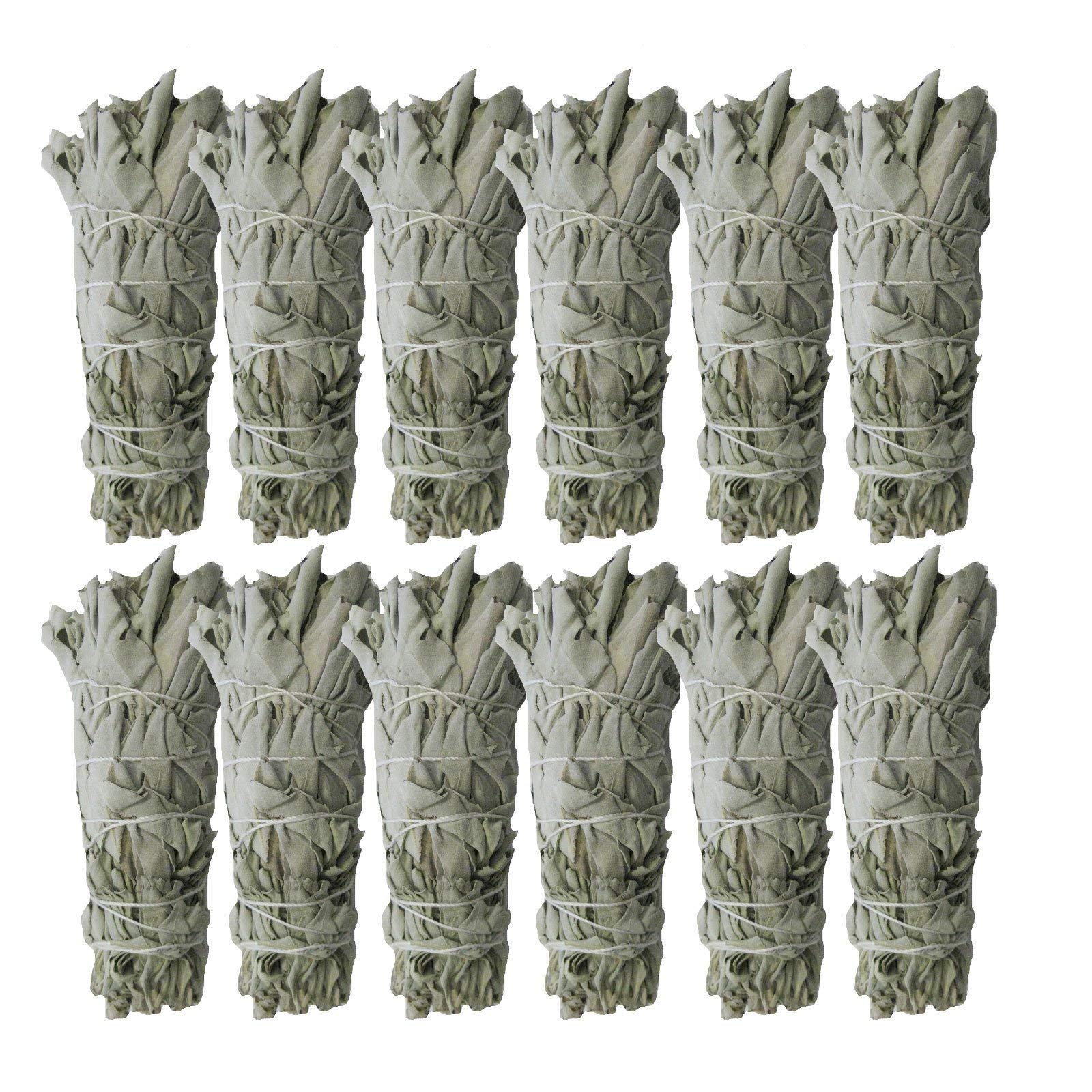 Weißer Salbei zum räuchern 12x White Sage für Rauhnächte, Hausreinigung 10-12 cm. Räucherwerk aus Kalifornien für Entspannung, Meditation UVM. mit Räucheranleitung und Beschreibung. 81208