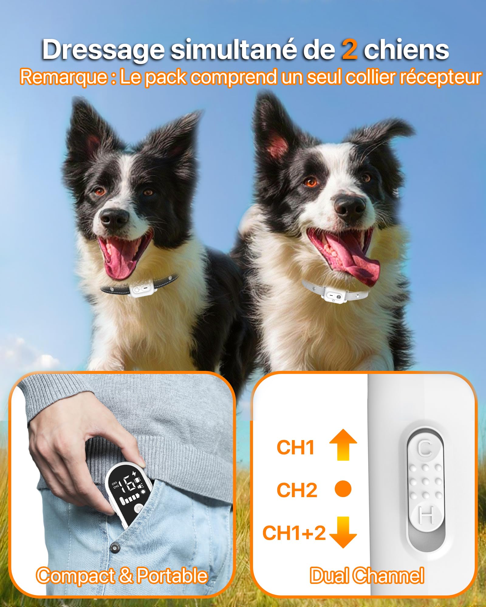Collier De Dressage pour Chien,Collier Electrique pour Chien Portée de 3km,Mode Lumière Nocturne,1-50 Niveaux d’Entraînement, BIP Vibration Choc, Adapté à Tous Les Chiens,Étanche Rechargeable