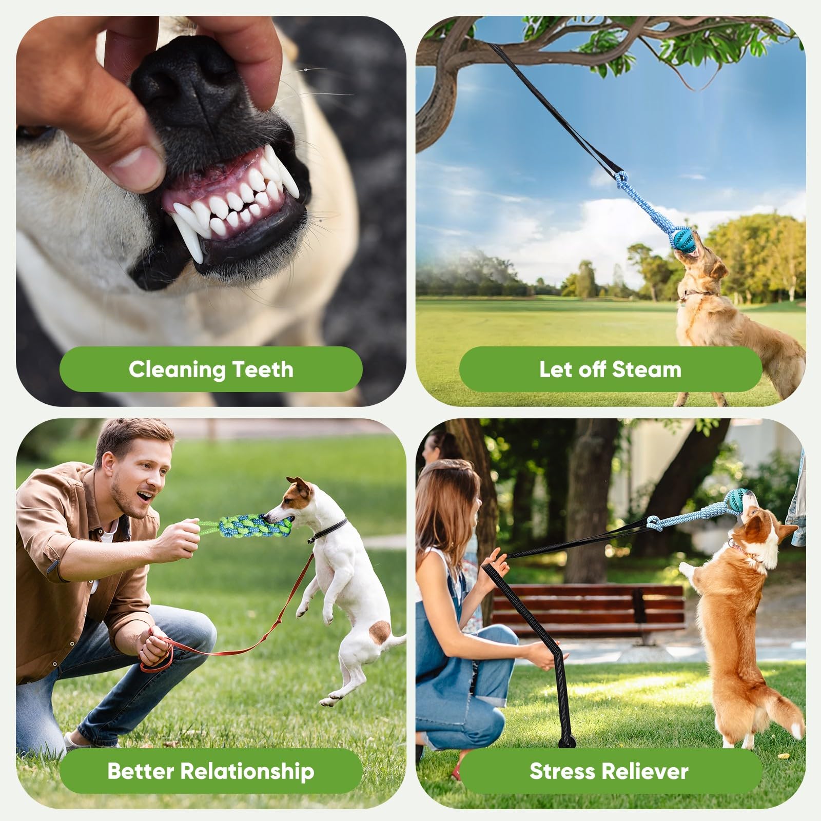Juguete elástico para perros, juego interactivo de juguete para tirar de la guerra con correa, cuerda y bola, juguete colgante de árbol con 2 cuerdas para masticar, bola de rompecabezas para