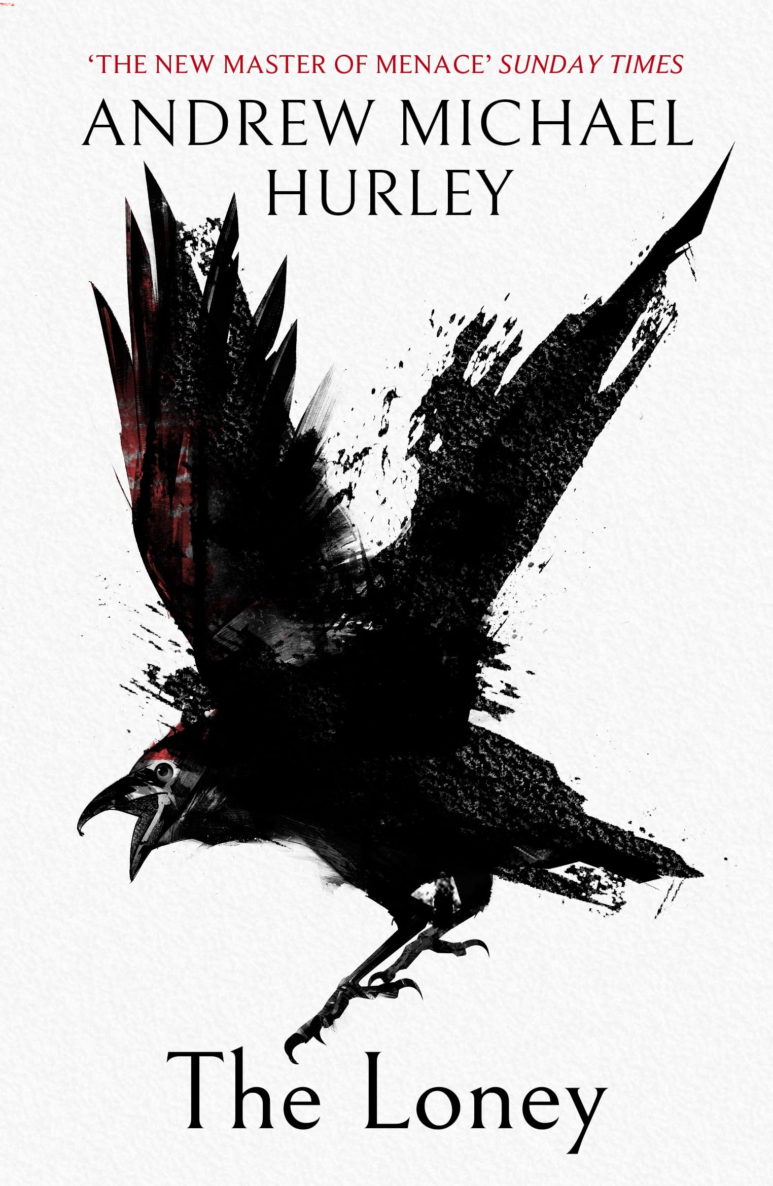 The Loney by Andrew Michael Hurley PAPERBACK 9781473619852