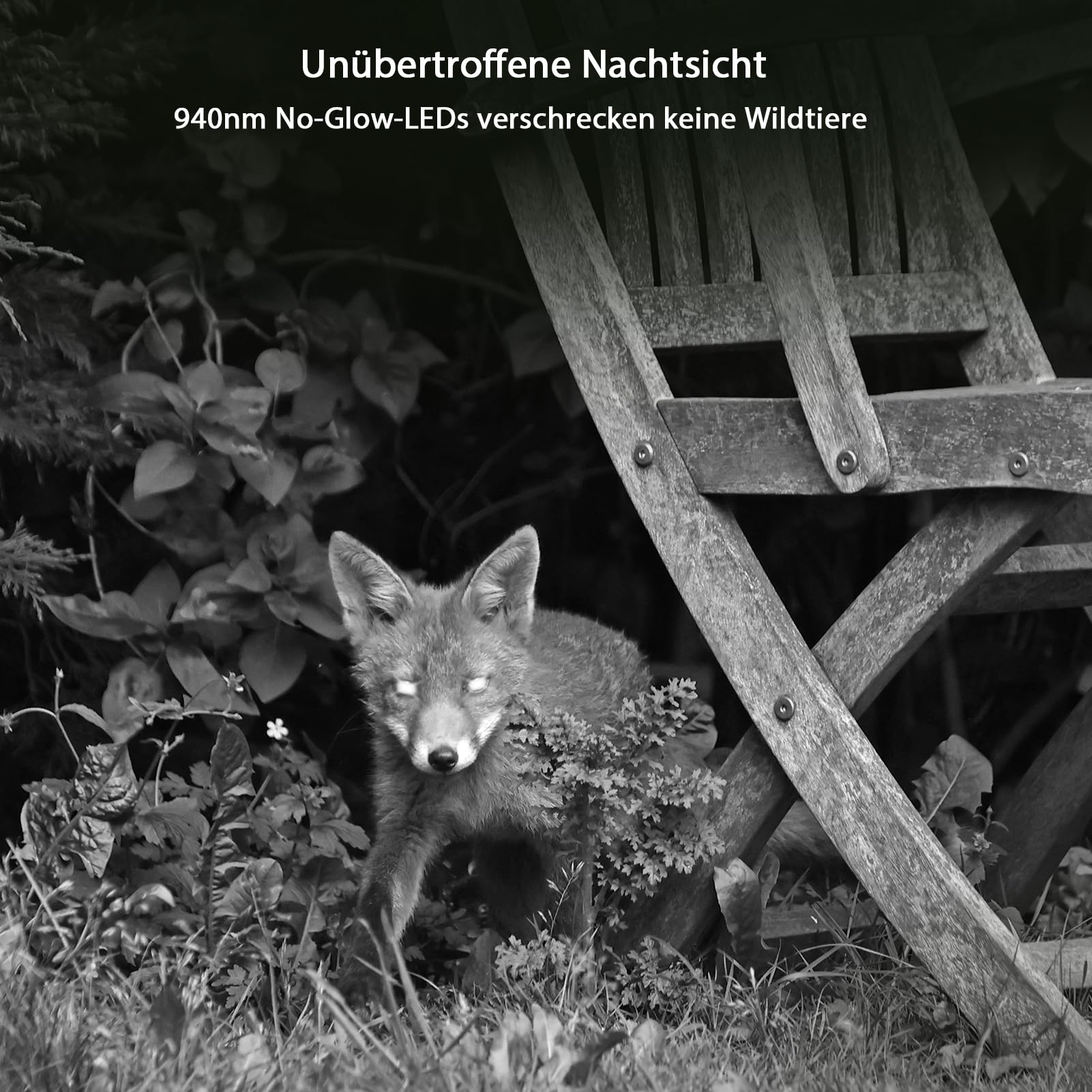 GardePro E8 2.0 Pro Wildkamera Doppelantenne WLAN mit 64GB SD Karte, 64MP H.264 4K Video Wiederaufladbare 7800mAh Akku, Mobilfunkübertragung, 30m Nachtsicht Bewegungsmelder 0,1s Trigge, IP66