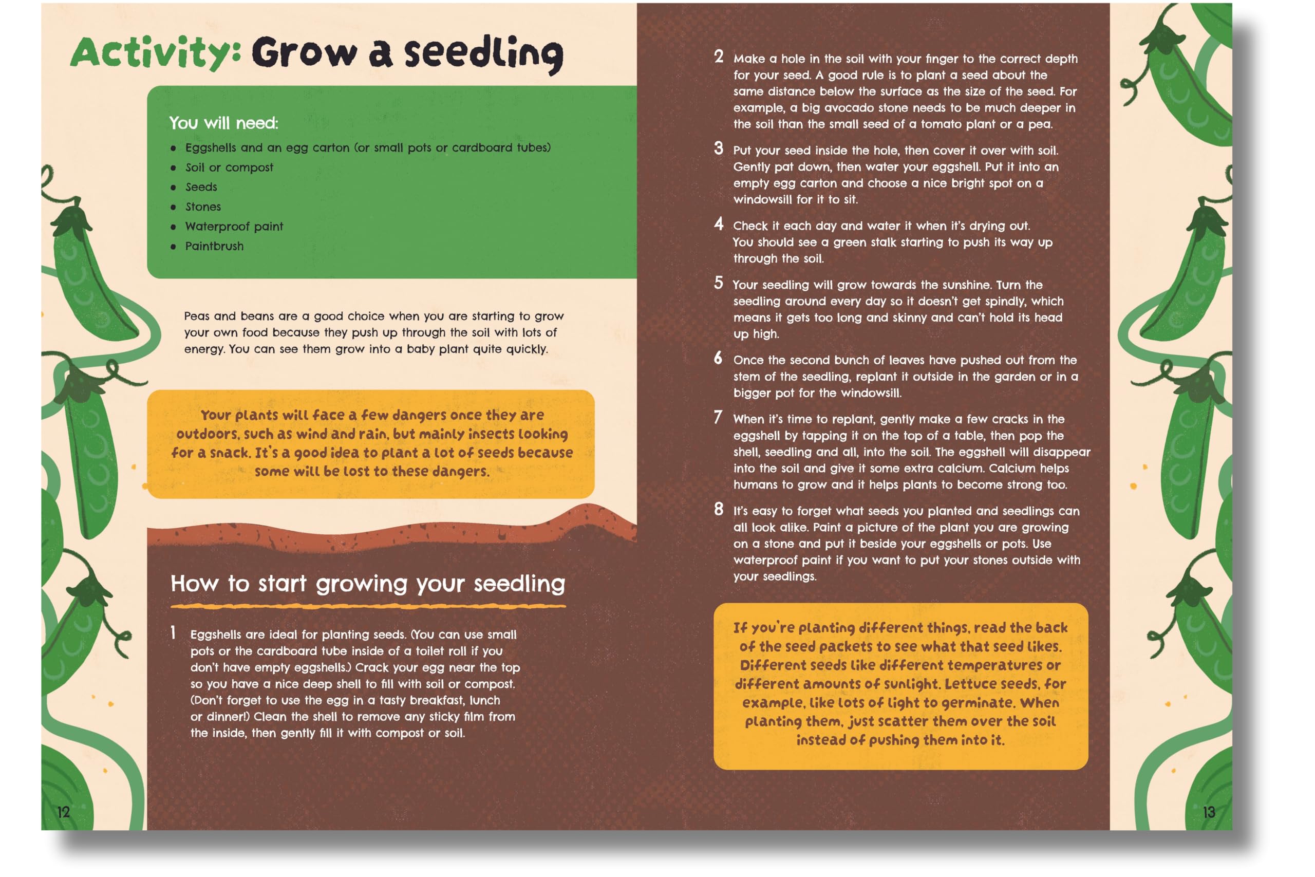 Seed to Supper: The Journey of Your Food from the Ground Up