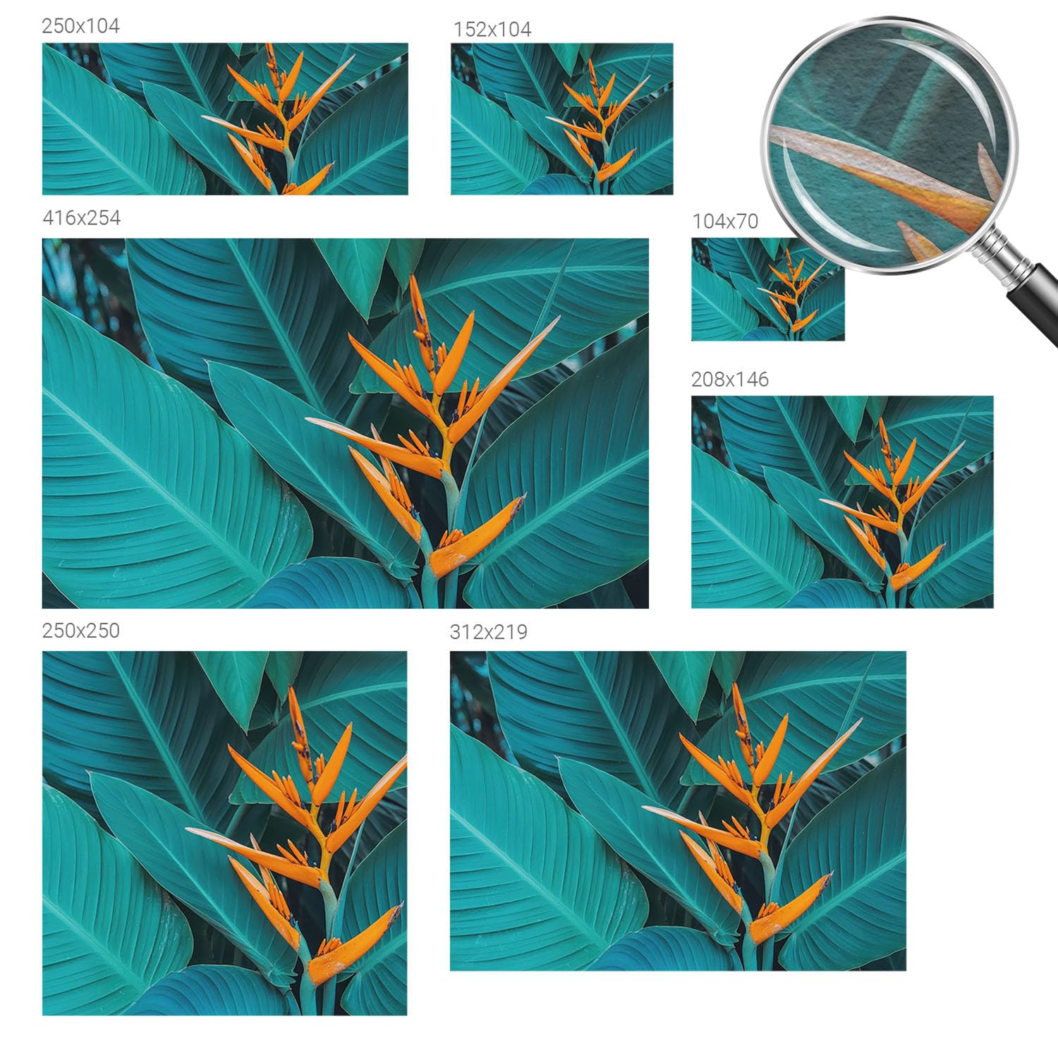Mural Fotográfico Para Pared De Oficina 416x254 cm Flores frondosas