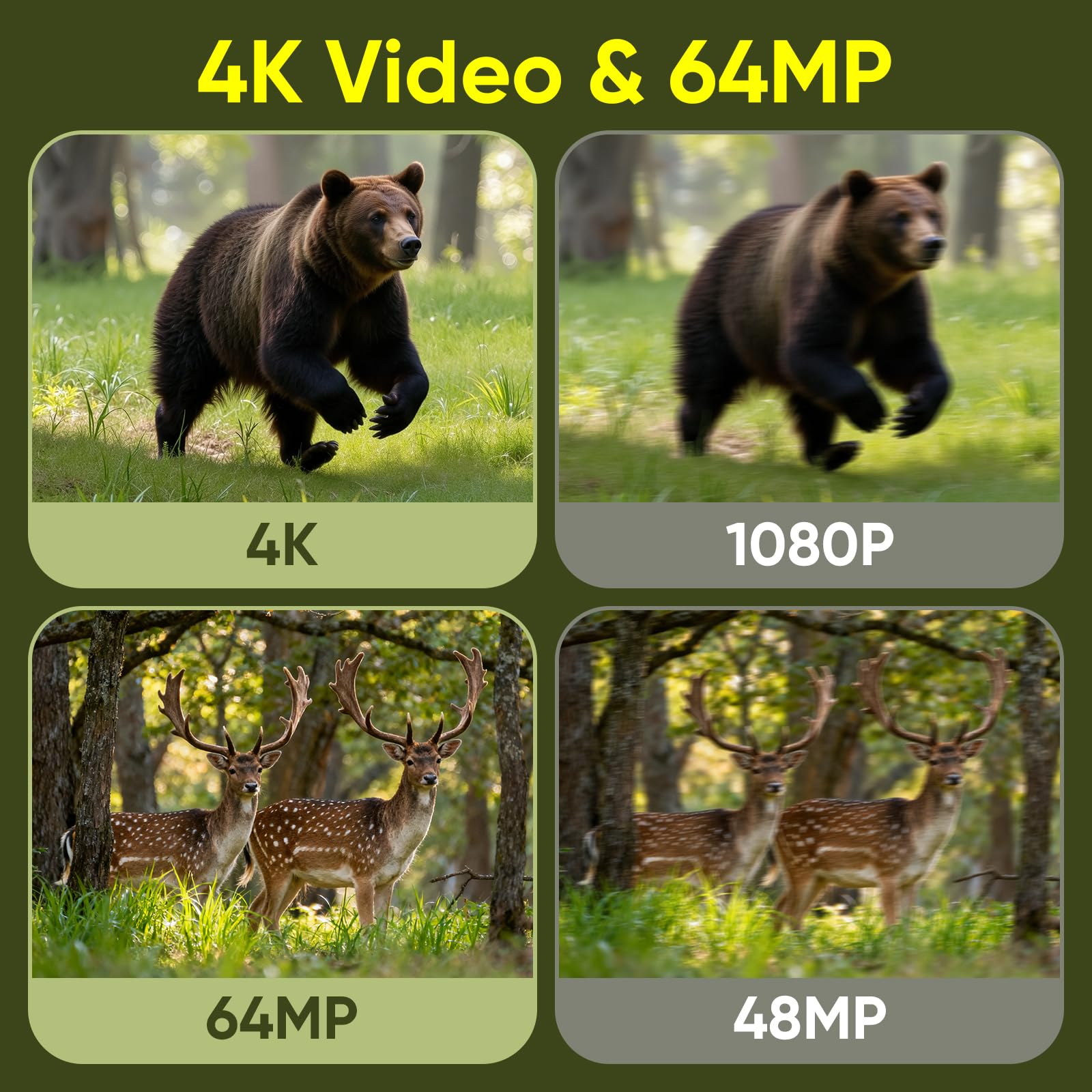 MYPIN Cámara de Caza 4K 64MP Solar con WiFi, Visión Nocturna, Batería 5000mAh Incorporada, IP66 Resistente al Agua, Activación por Movimiento, Incluye Tarjeta de Memoria de 64GB
