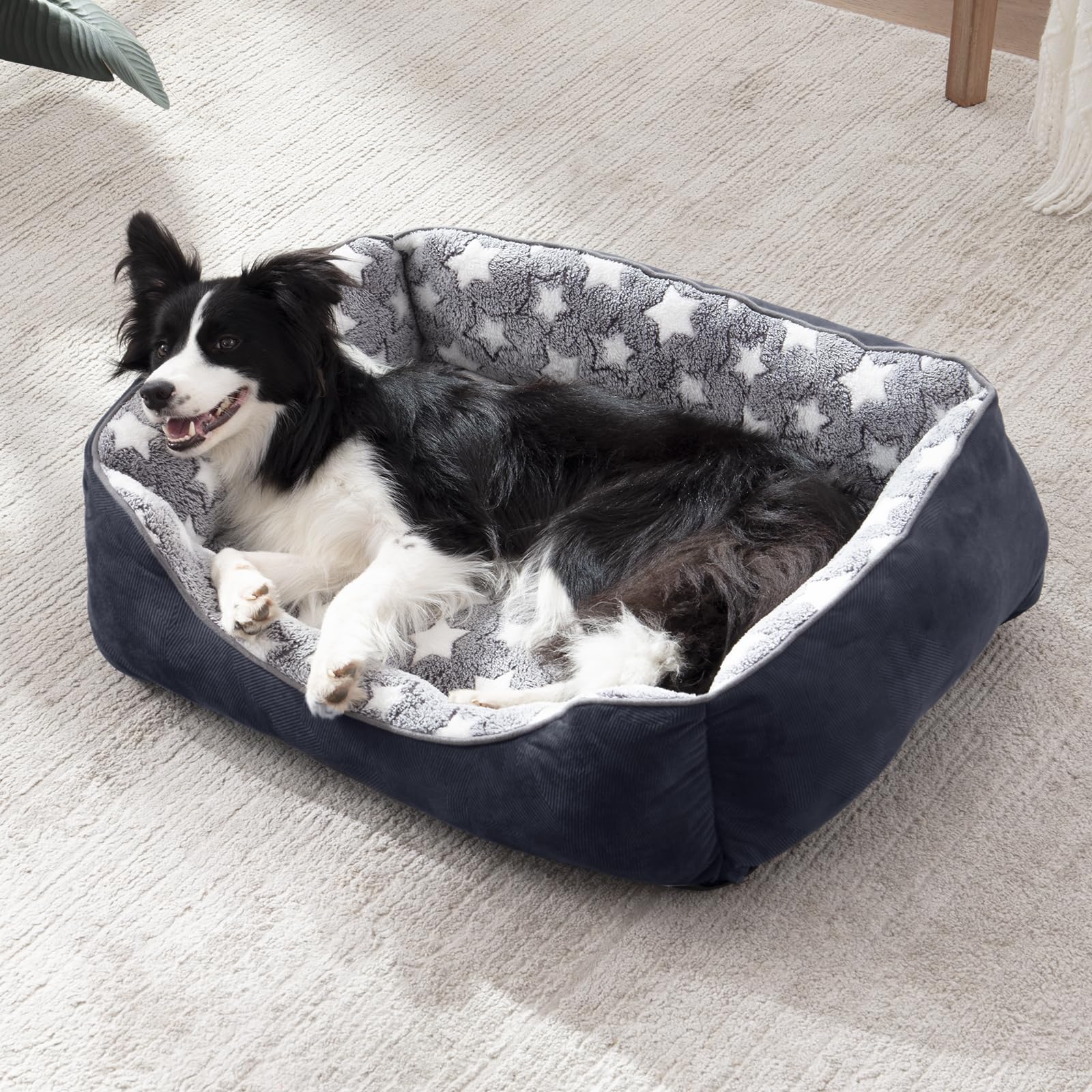 FURTIME Cuccia Cane Letto per Cani Cuscino Lavabile e Antiscivolo Lettino Morbido Divano per Cani Cuccia Cane Interno Taglia Grande Brandina per Gatto XL(89x63x23cm) Nero